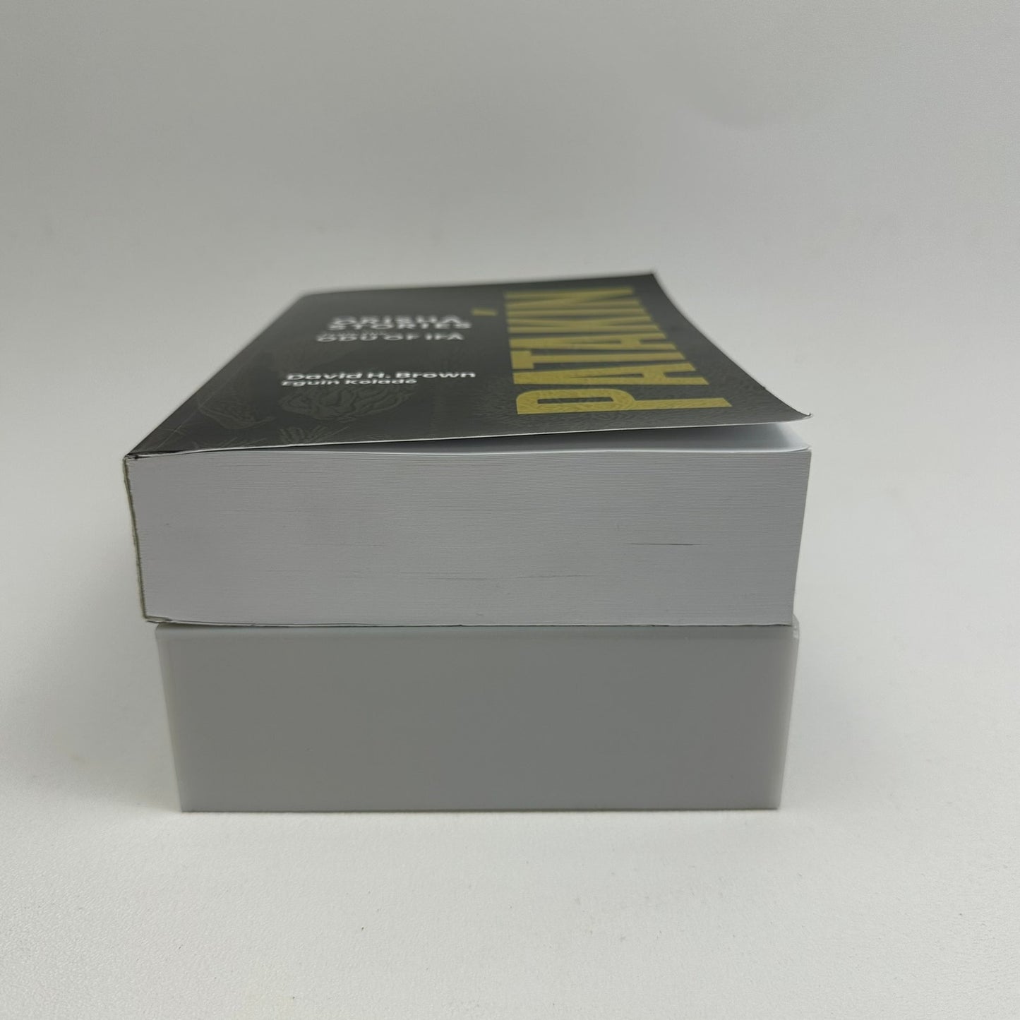 Patakin Orisha Stories from the Odu of Ifa David H Brown Cultural Anthropology