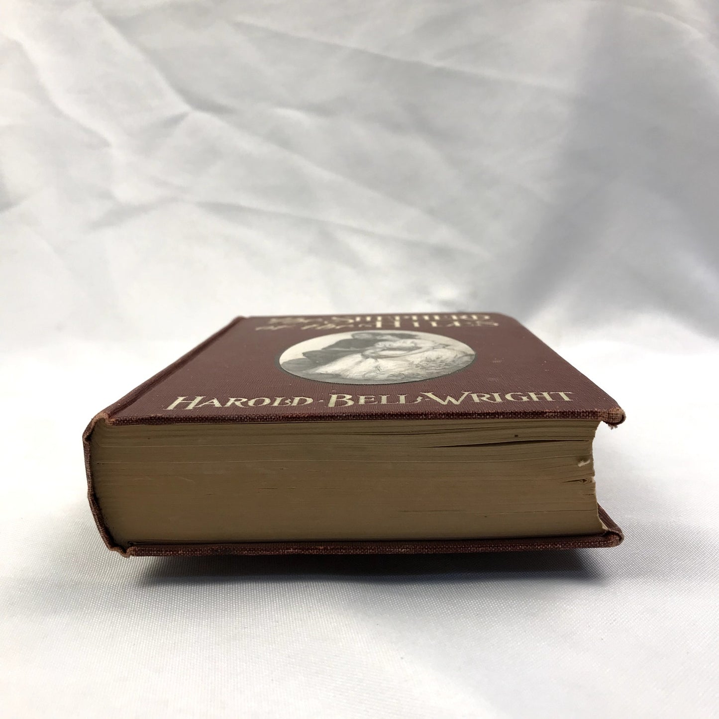 The Shepherd of the Hills Harold Bell Wright Illustrated Christian Fiction 1907