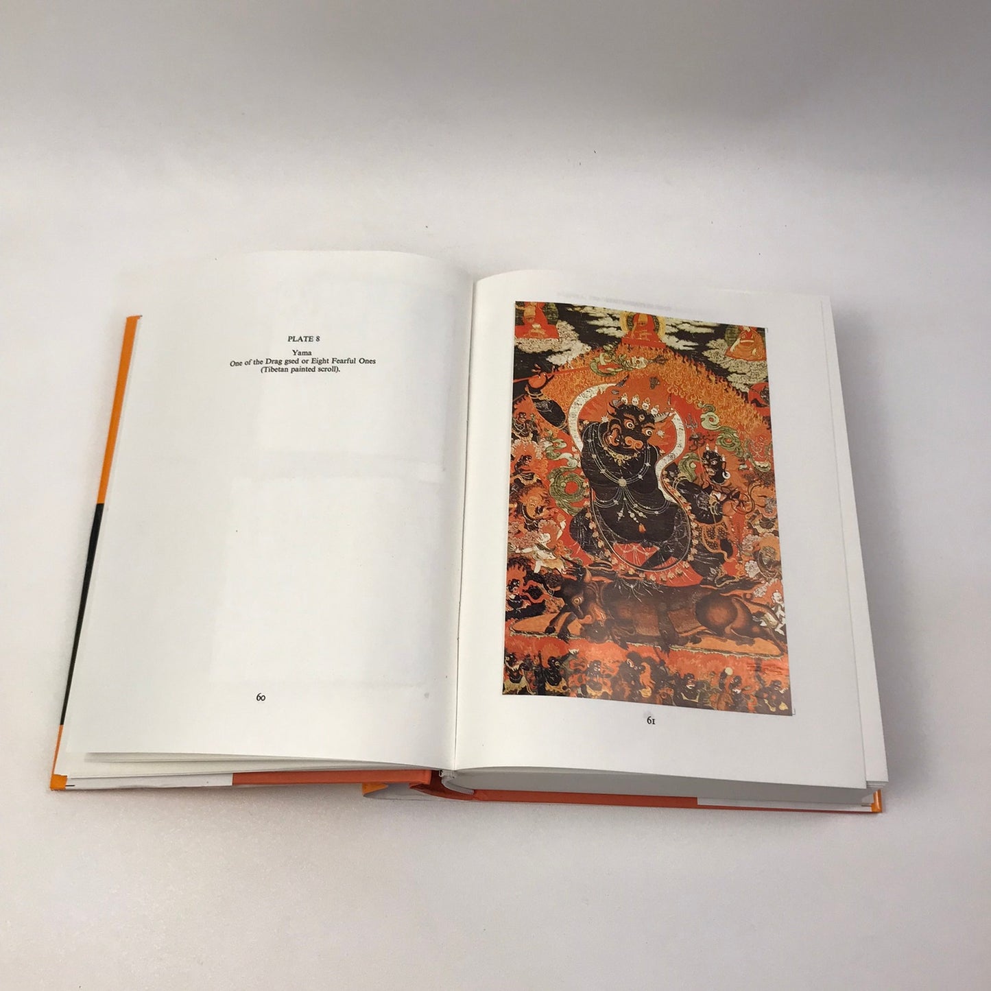Agni The Vedic Ritual of the Fire Altar Frits Staal Volumes 1 and 2 Slip Covers