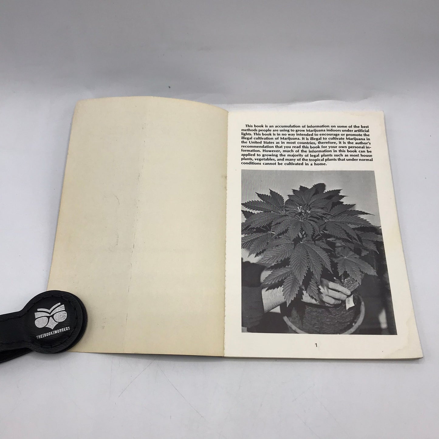 How To Grow Marijuana Indoors Under Light Murphy Steven Cannabis Gardening