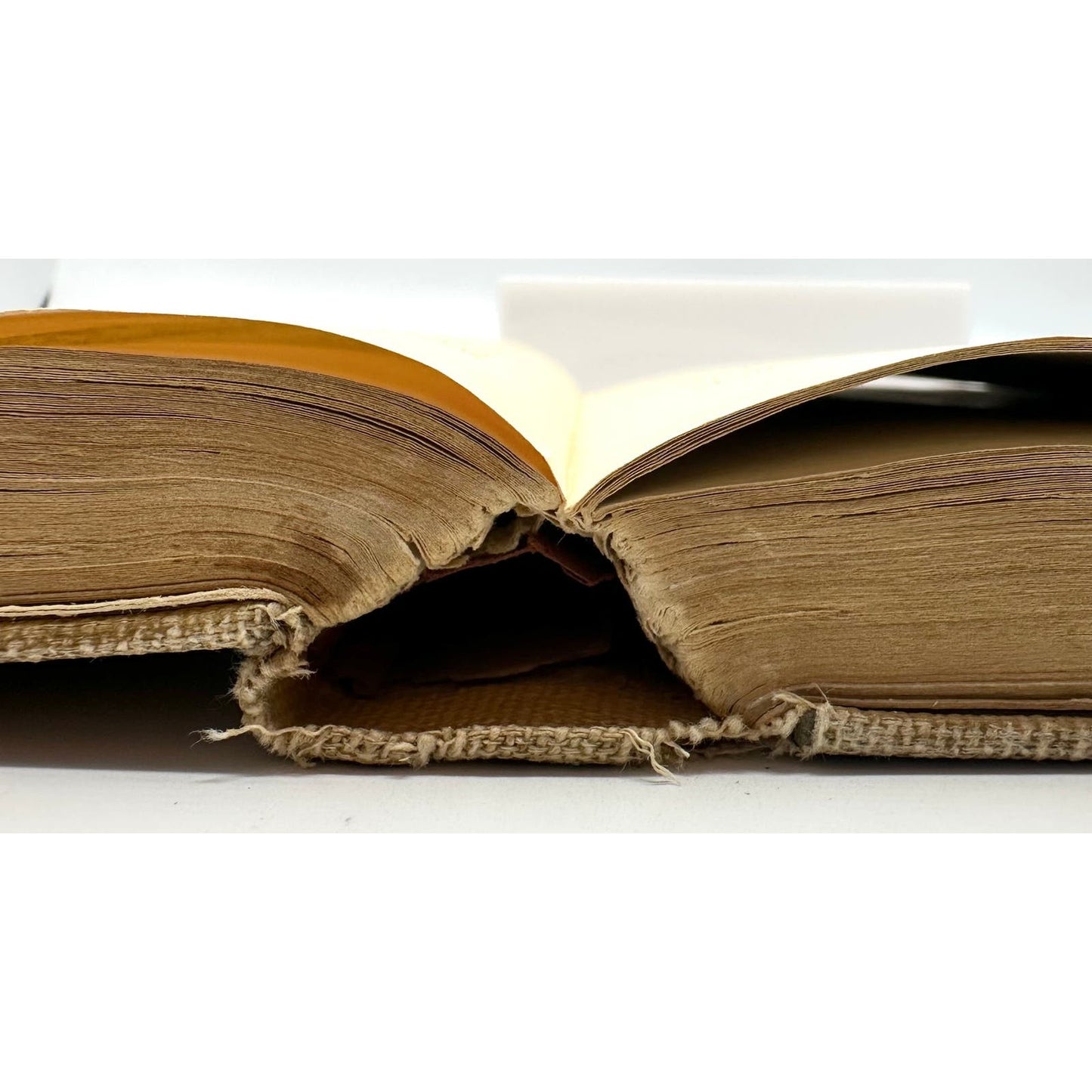 The Harvester by Gene Stratton Porter 1910s Embossed Cloth HC Illustrated Book