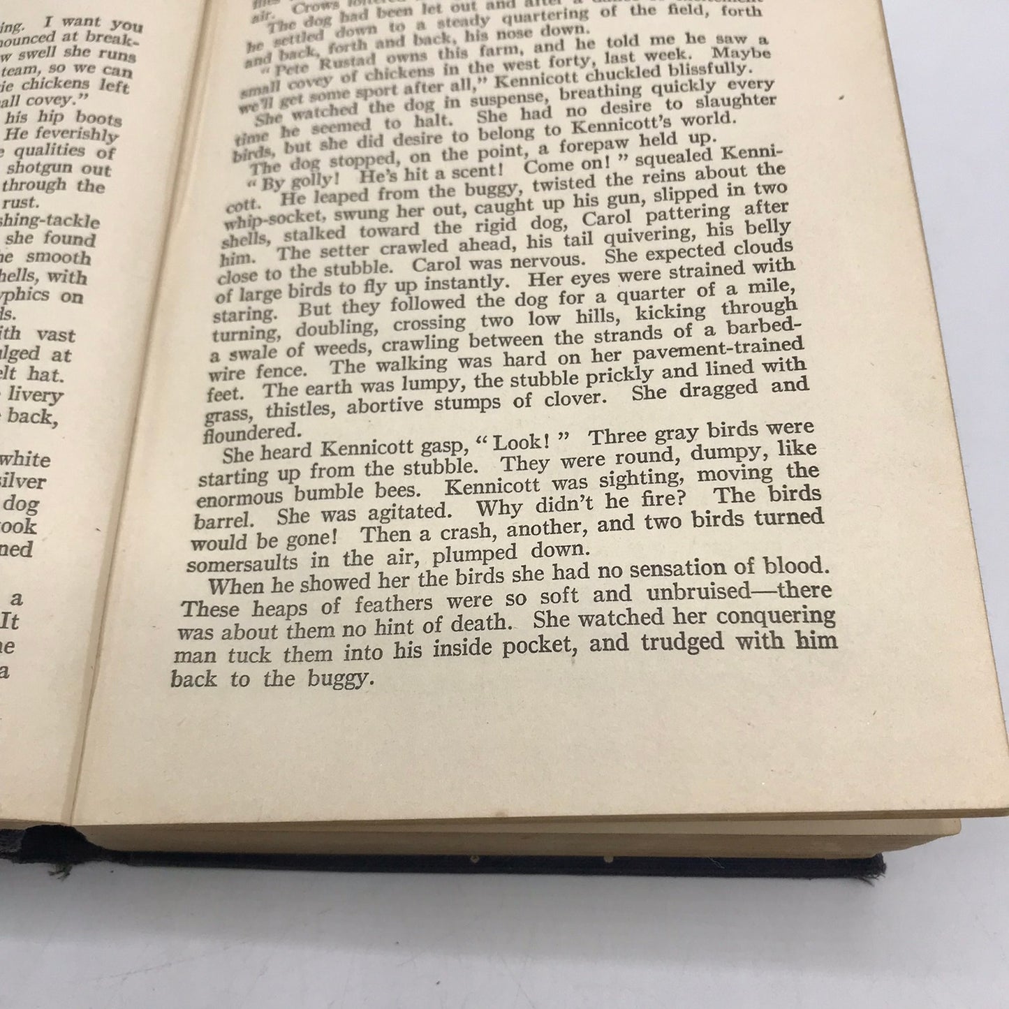 Main Street The Story of Carol Kennicott Sinclair Lewis with Errors Historical