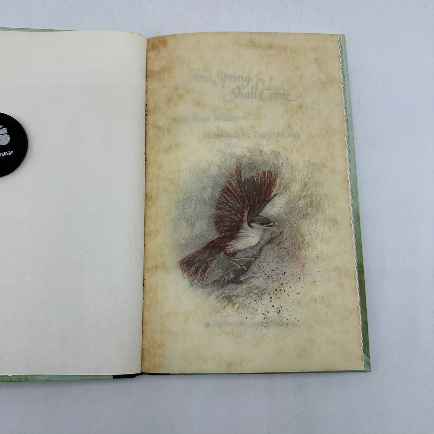 And Spring Shall Come Hallmark Poetry Illustrated Hardcover Book 1971