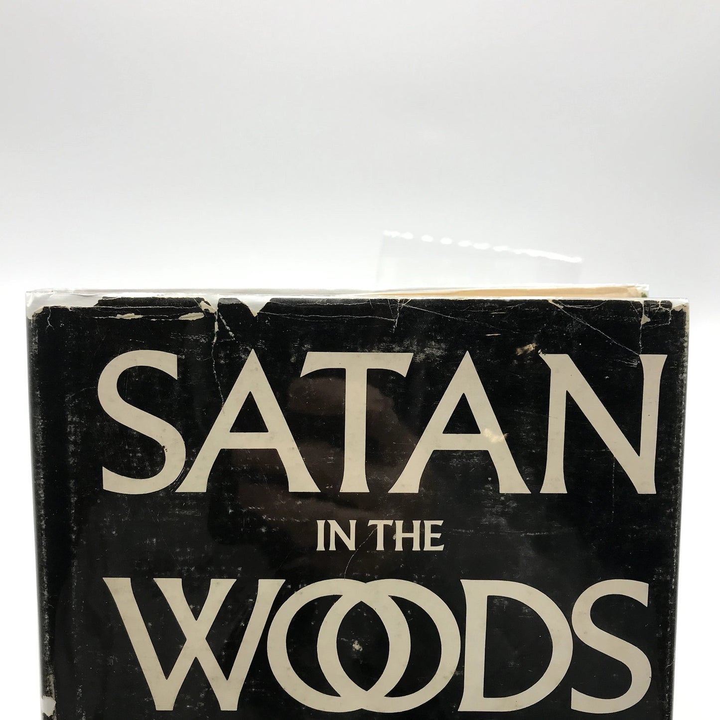 Satan In The Woods Hardcover Mystery Novel by Moses Jacob Steiner