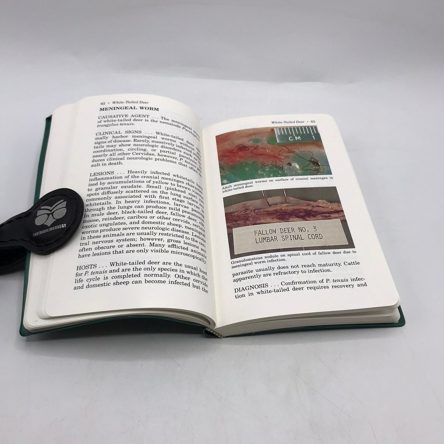 Field Manual of Wildlife Disease in the Southeastern States Davidson and Nettles