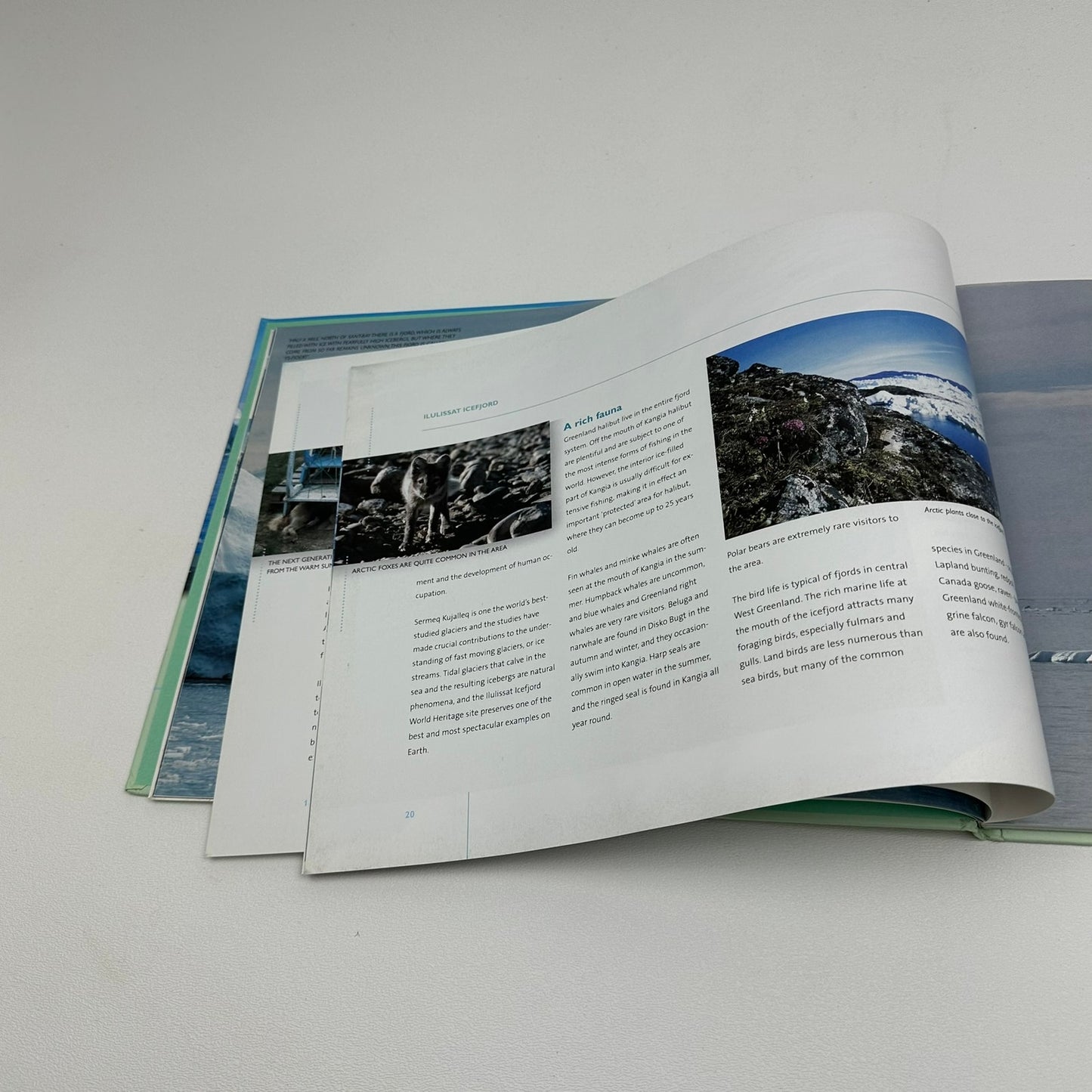 Ilulissat Icefjord A World Heritage Site Earth Sciences Geology Nature Landscape