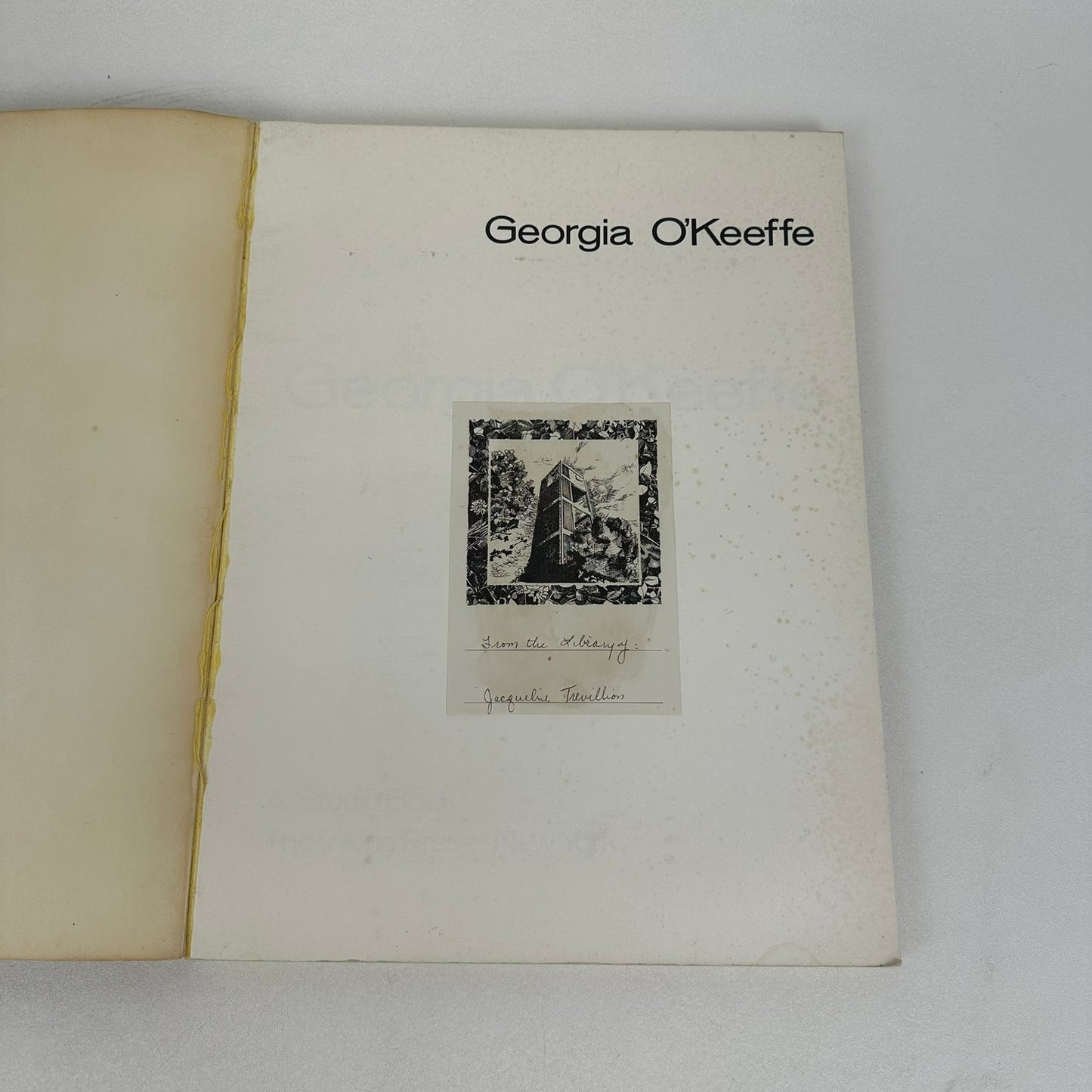 Georgia O Keeffe A Studio Book Autobiography Memoir Paintings Art History 1976