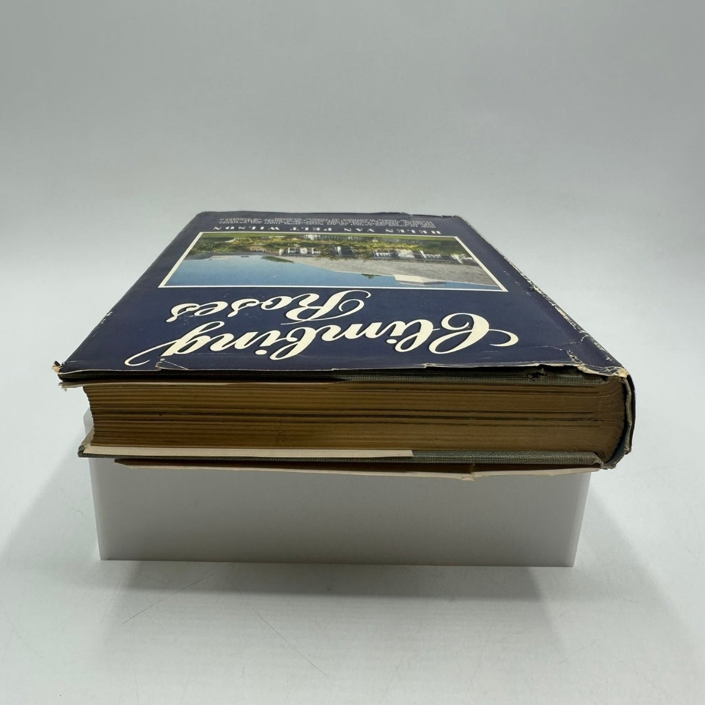Climbing Roses Helen Van Pelt Wilson 1955 Gardening Horticulture M. Barrows