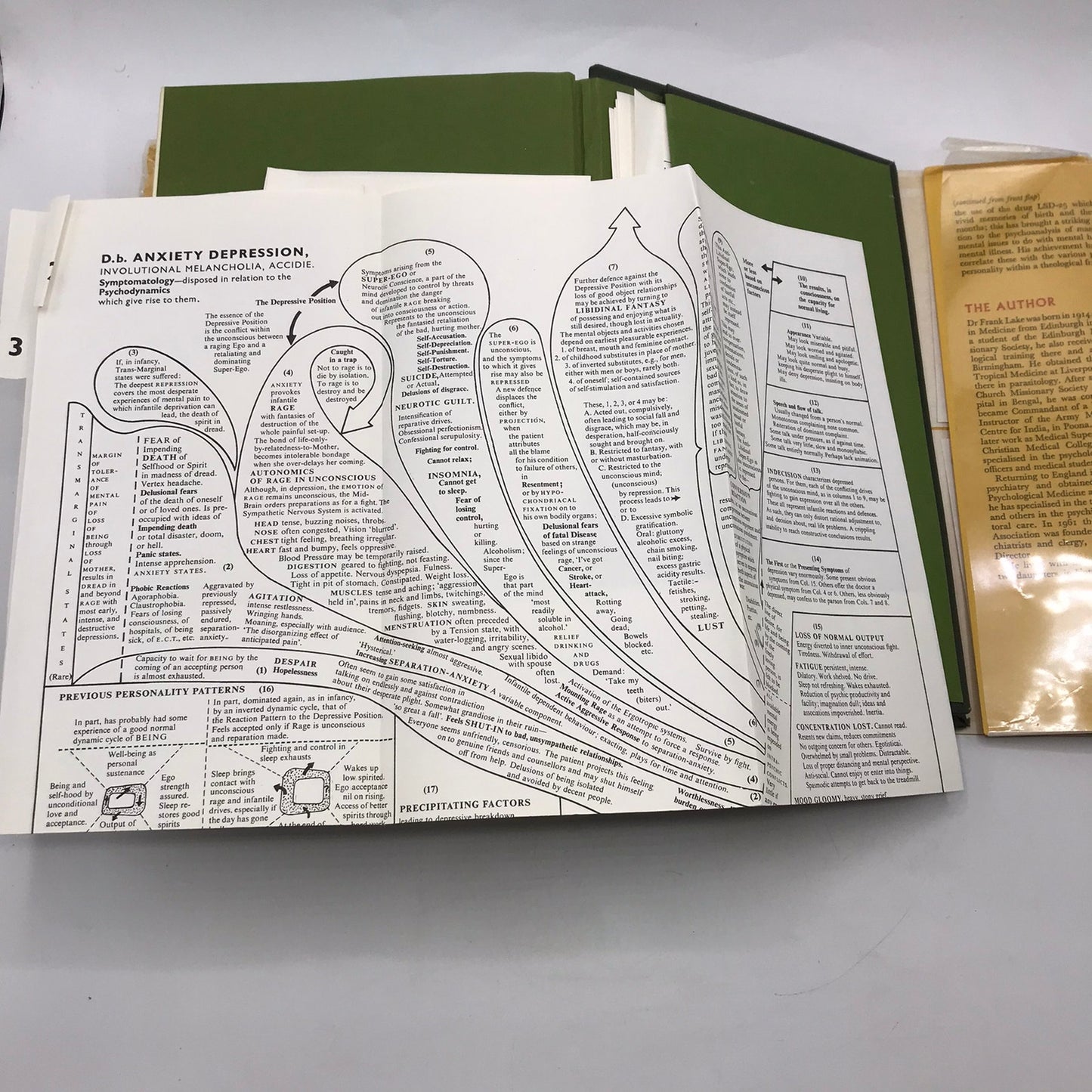 Clinical Theology Frank Lake Recovery Counseling Religious Pastoral Psychology