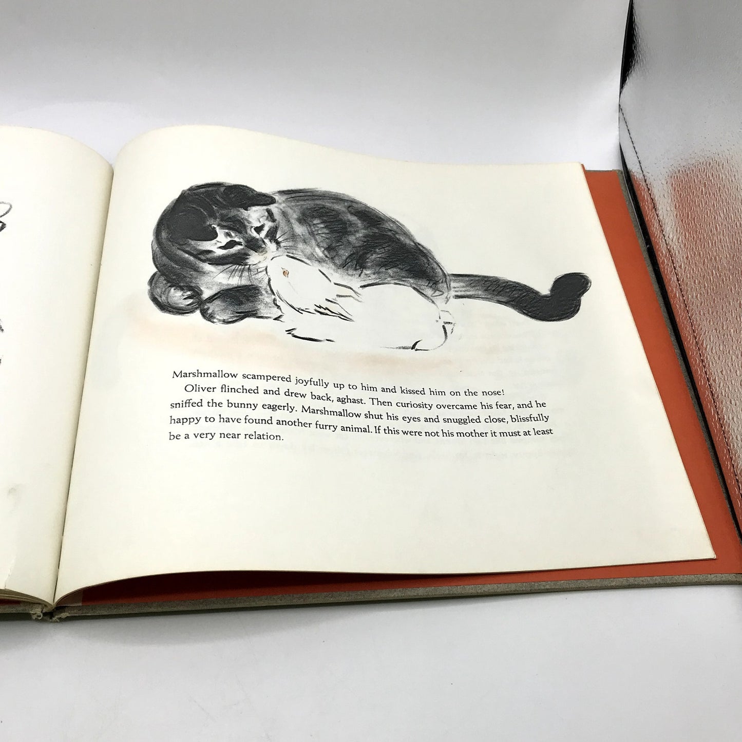 Marshmallow Rare Illustrated Hardcover by Clare Turlay Newberry 1942 1st Edition