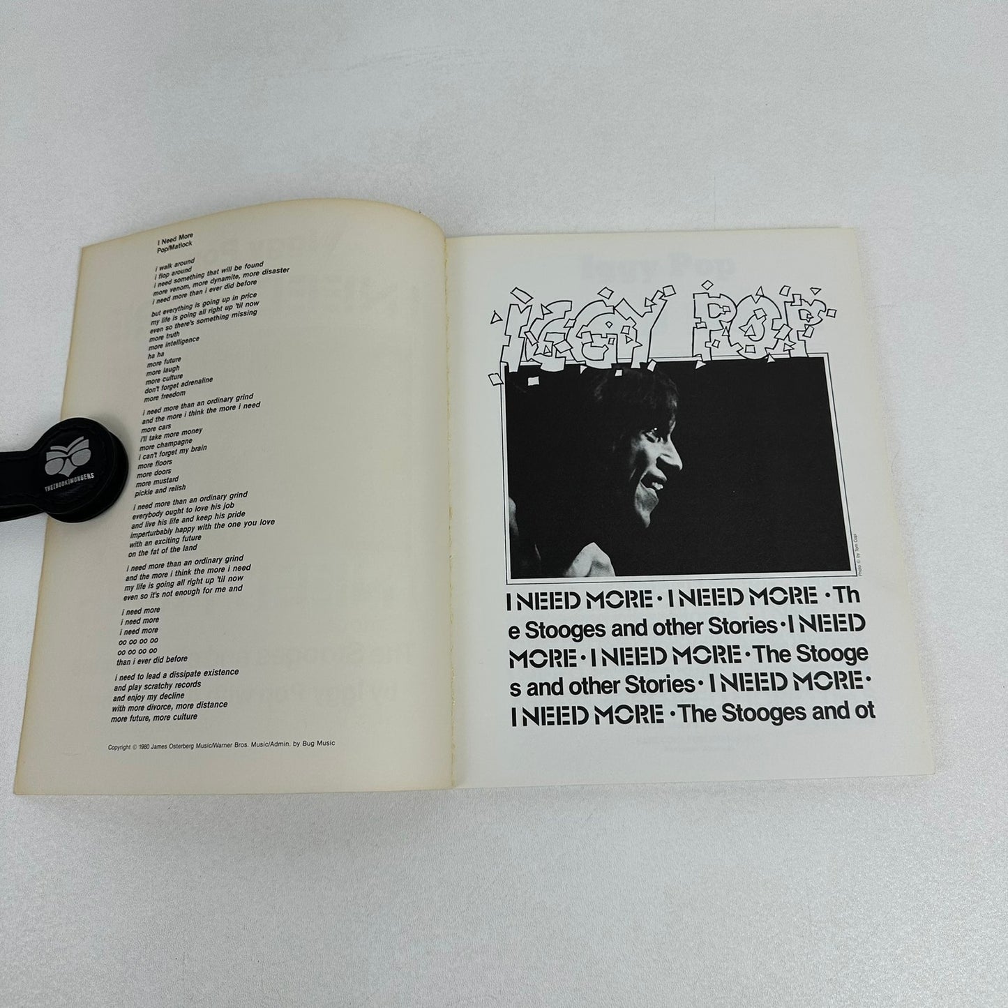 I Need More The Stooges and Other Stories Iggy Pop Anne Wehrer Biography Memoir