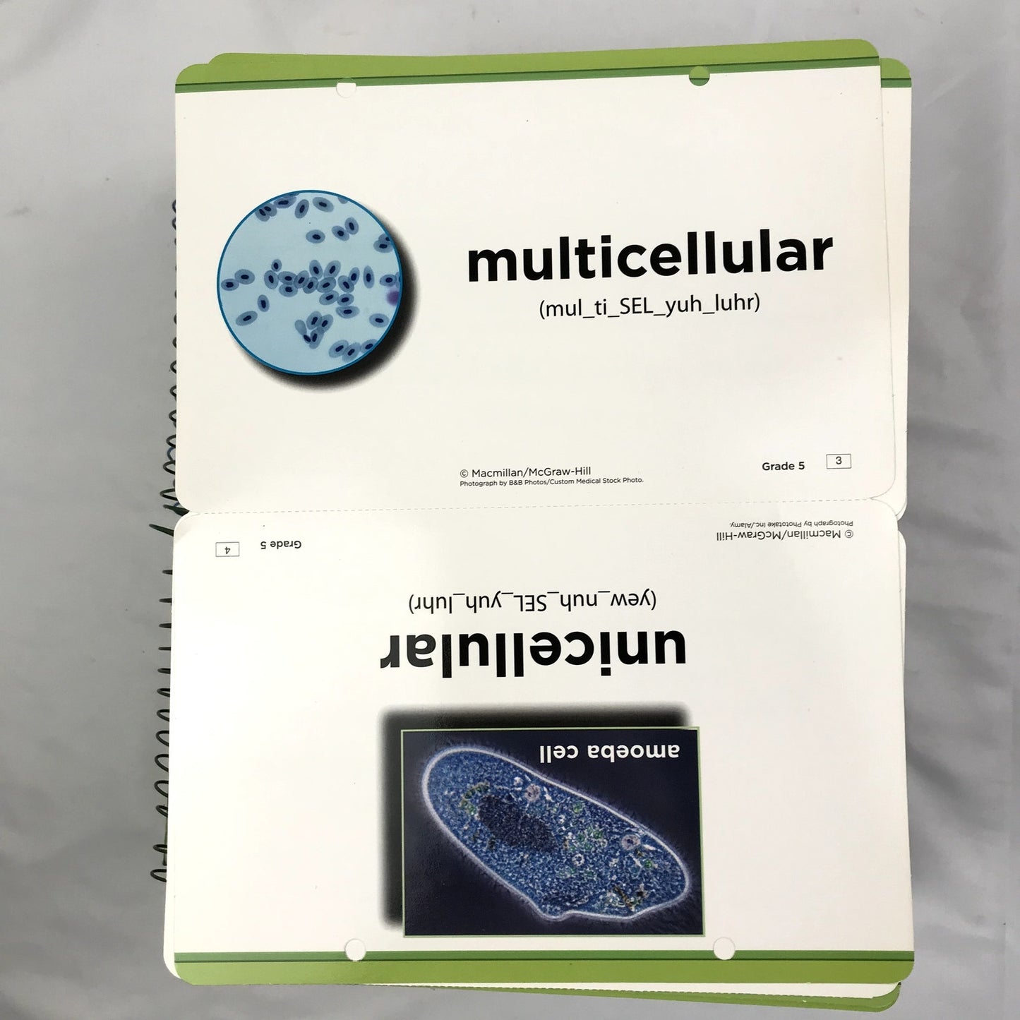 Grade 5  Science: A Closer Look Vocabulary Cards, Teacher & Student Editions