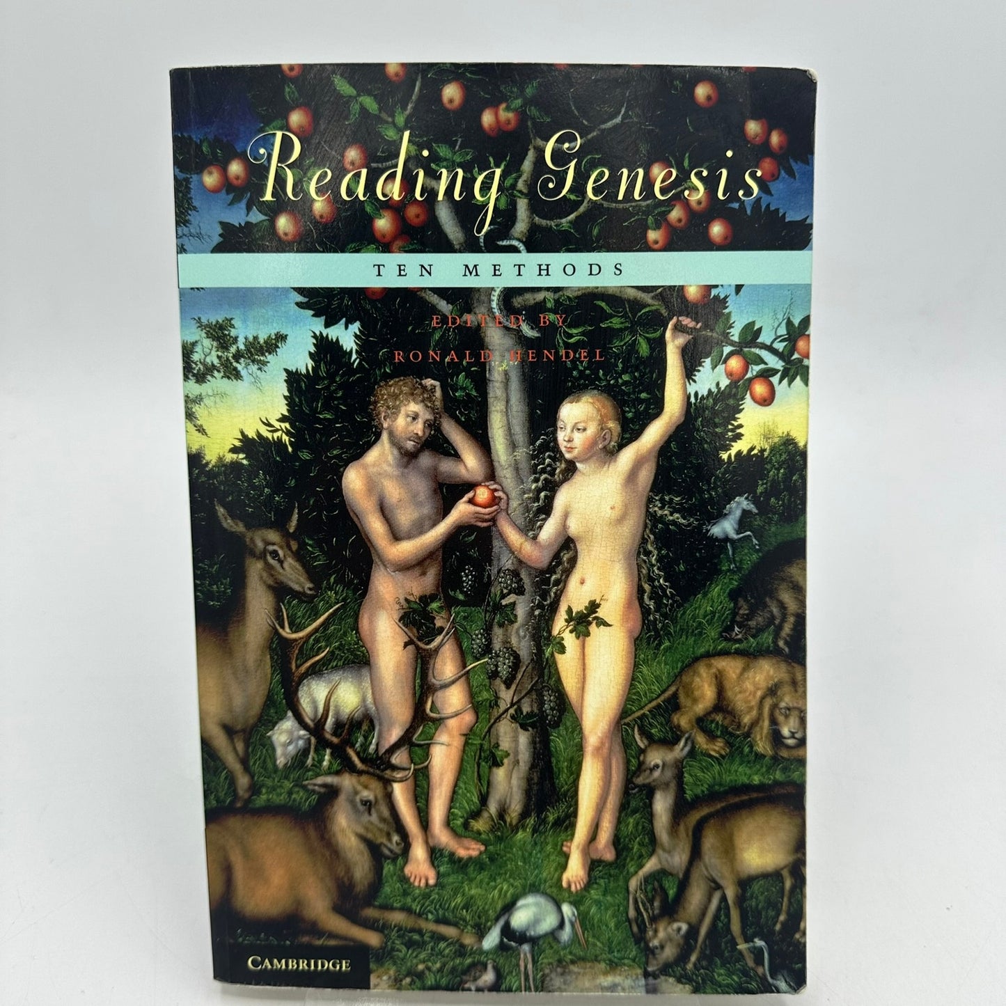 Reading Genesis Ten Methods Ronald Hendel Religion Spirituality Christian Study