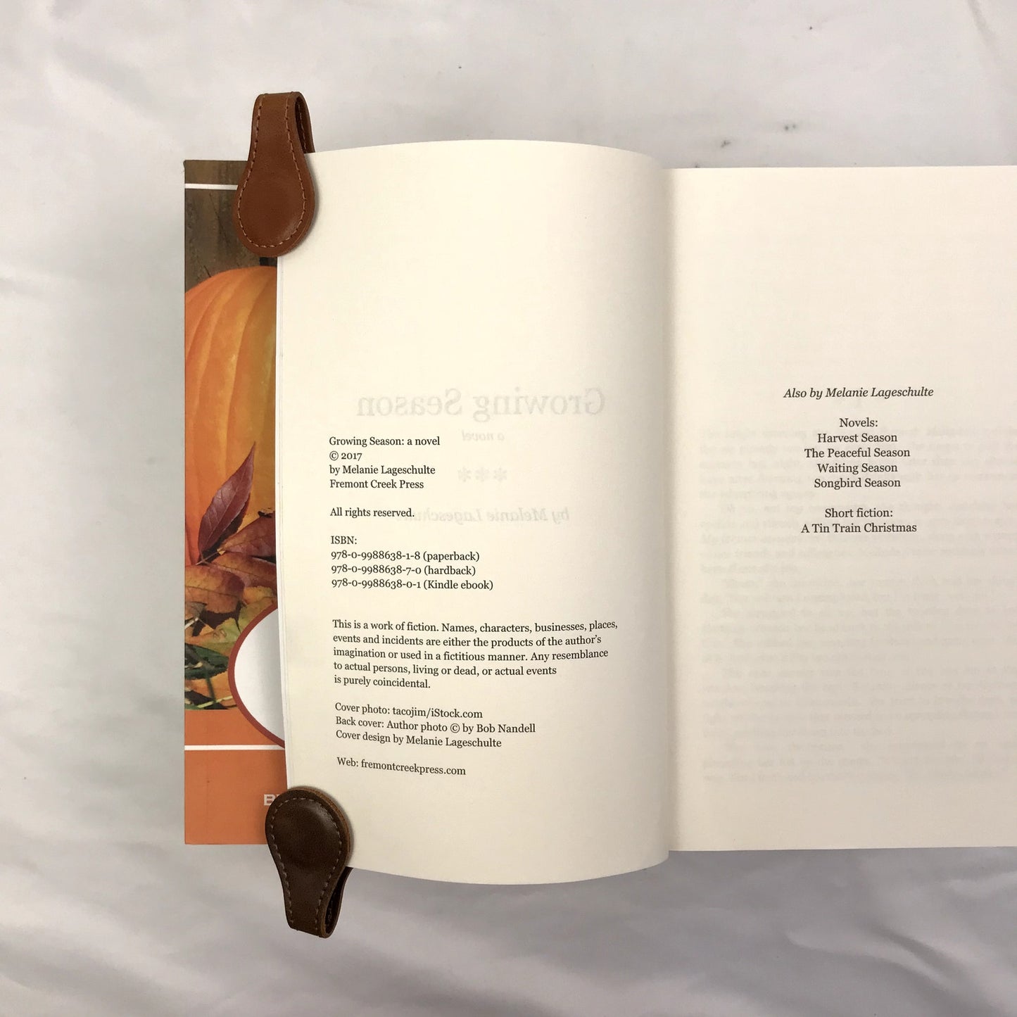 Melinda Foster Complete Series Melanie Lageschulte Paperback Cozy Mystery Novels