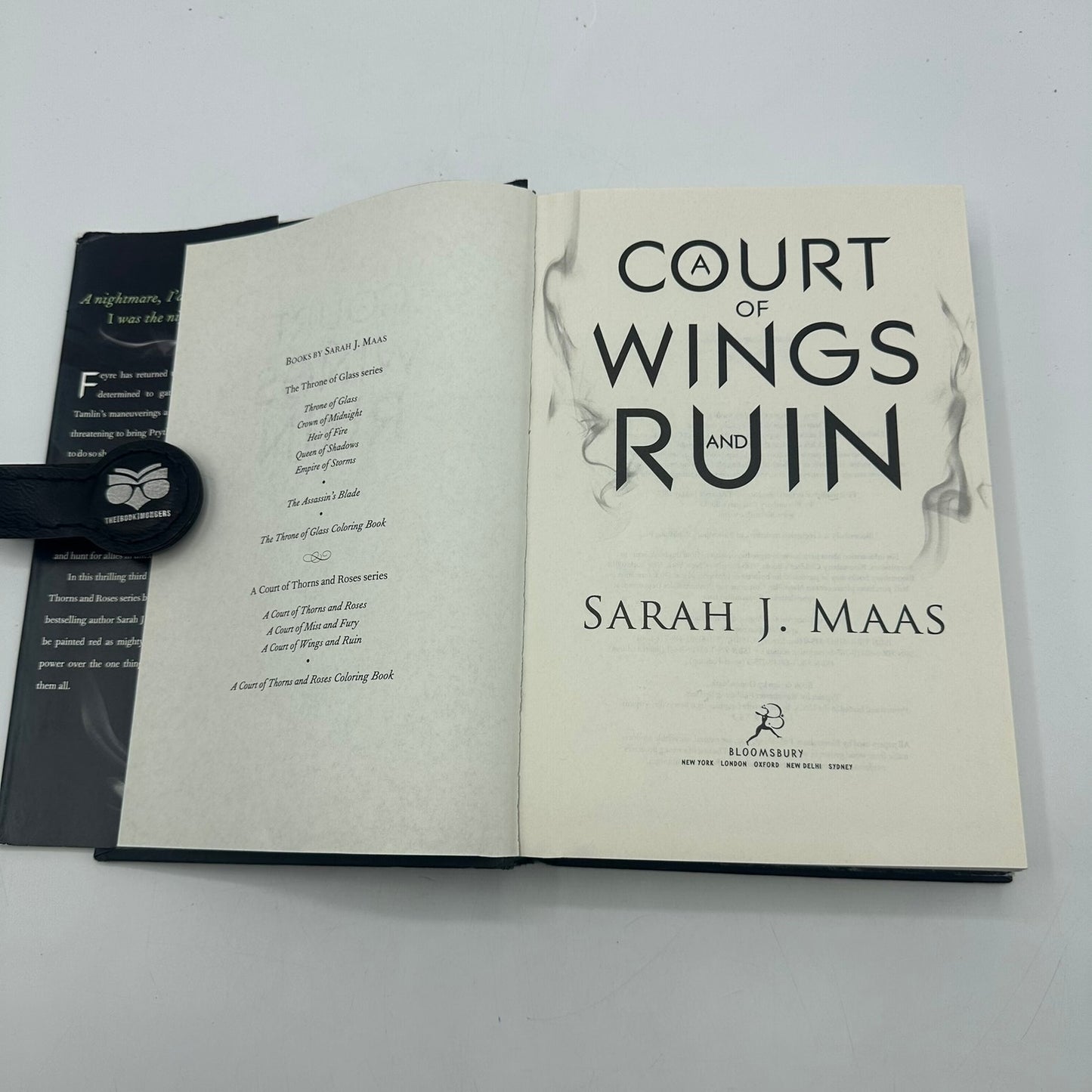 A Court of Wings and Ruin Sarah J Maas Indigo Exclusive Fan Art Fantasy OOP