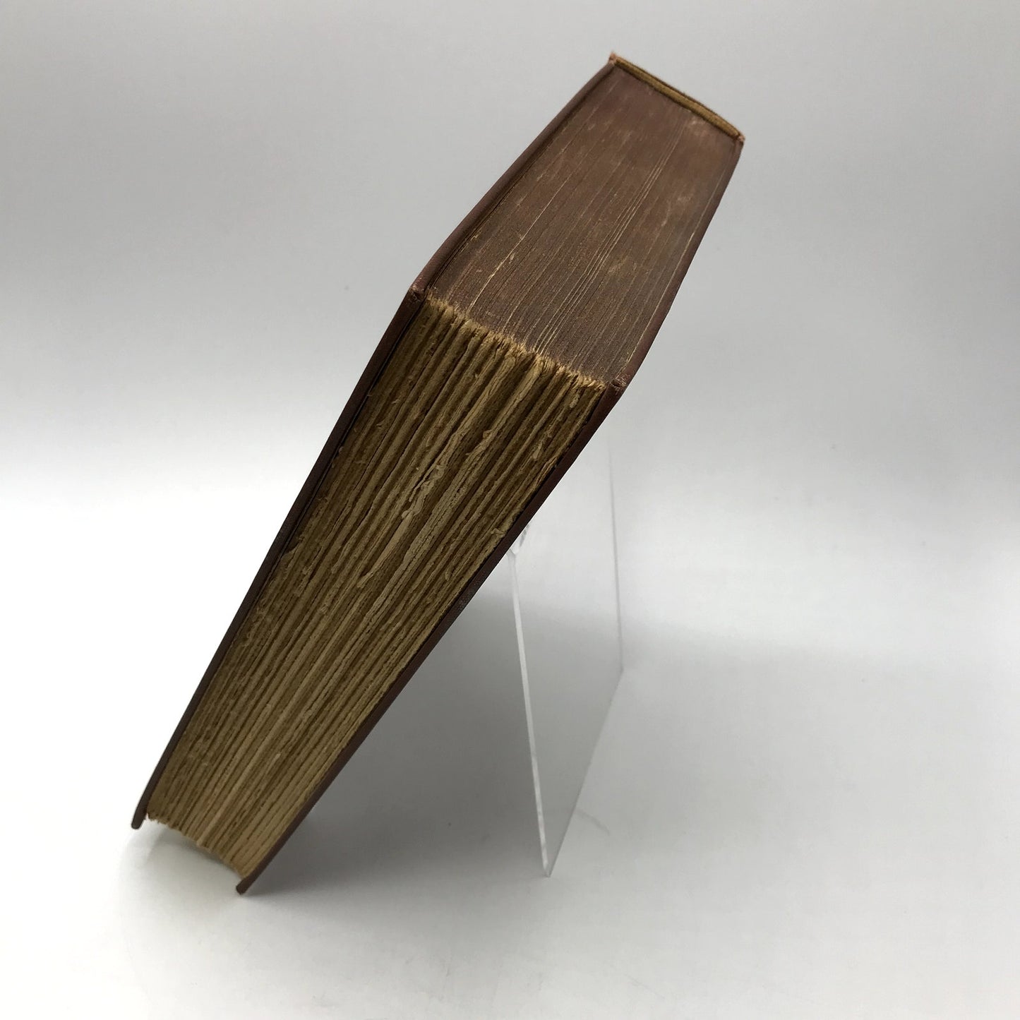 King Spider Illustrated Hardcover Book by D.B. Wyndham Lewis 1929 First Edition