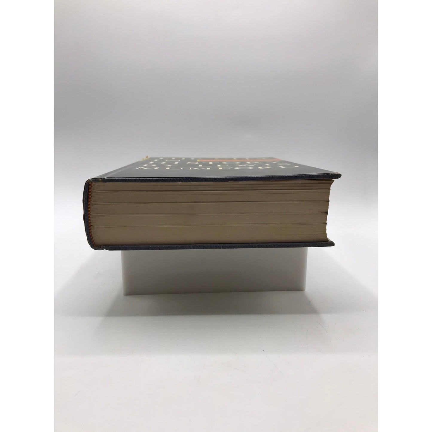 The City in History Lewis Mumford History Cultural Studies Urban Architecture