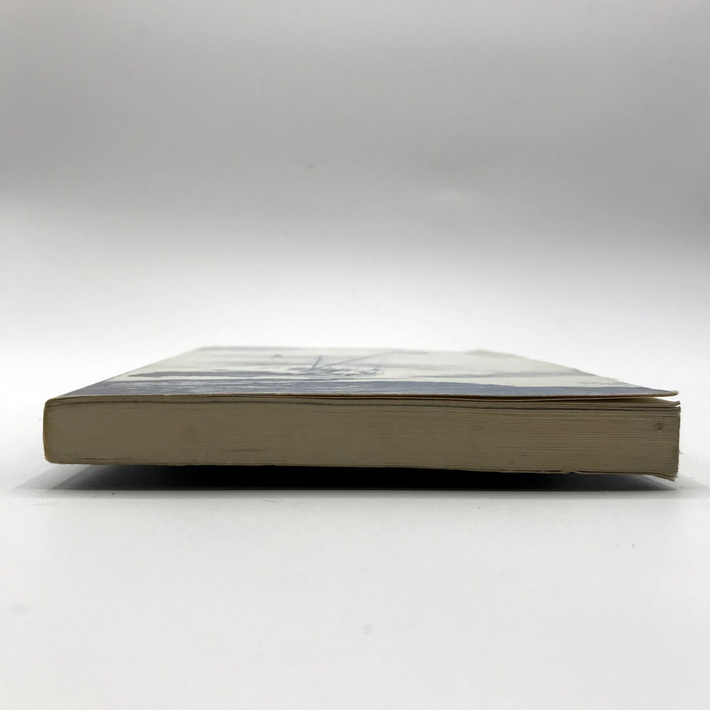 Cruise of the Ada Illustrated Paperback English Book by Henry Varnum Poor 1945