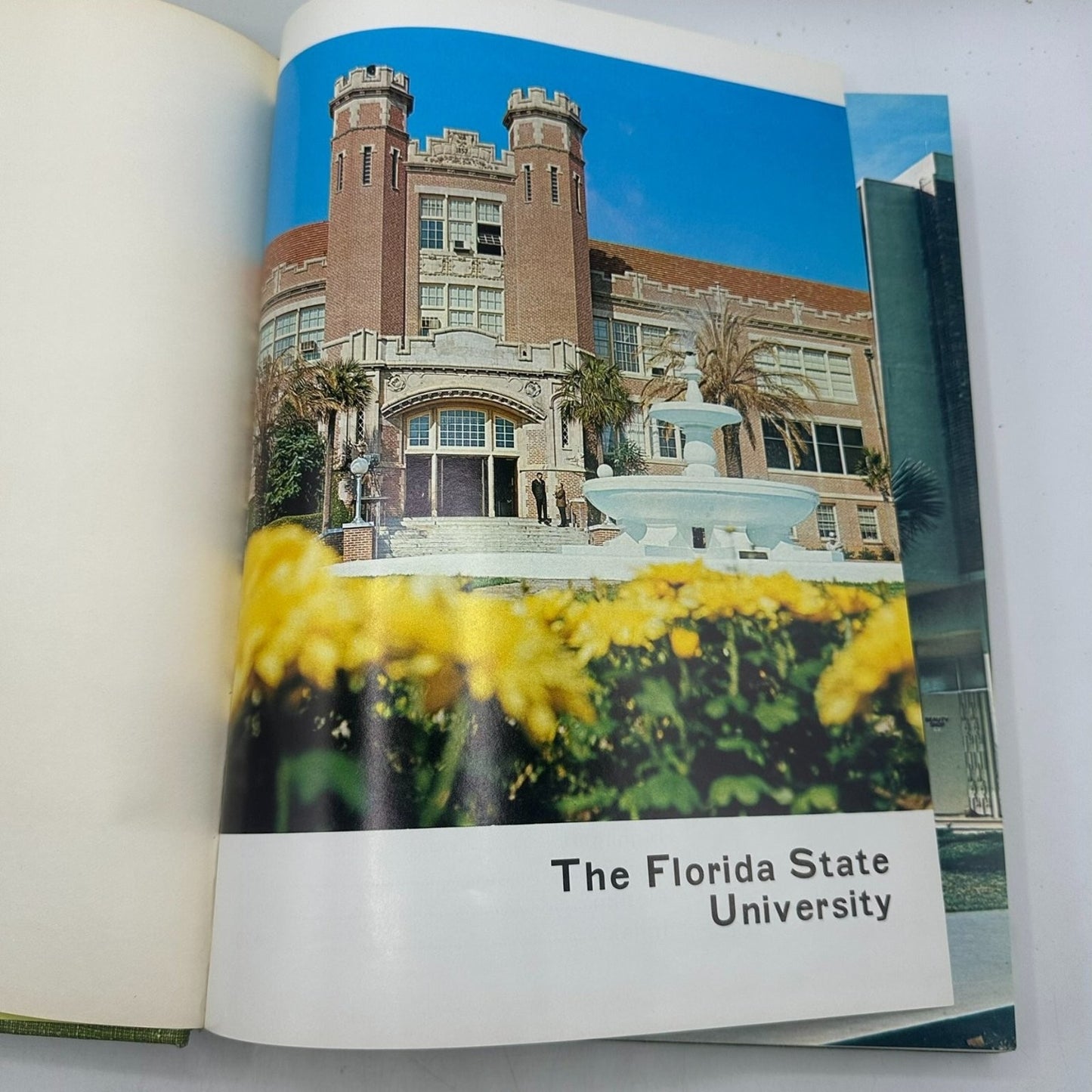 Florida State University 1966 Yearbook Tallyho FSU College Annual Memorabilia