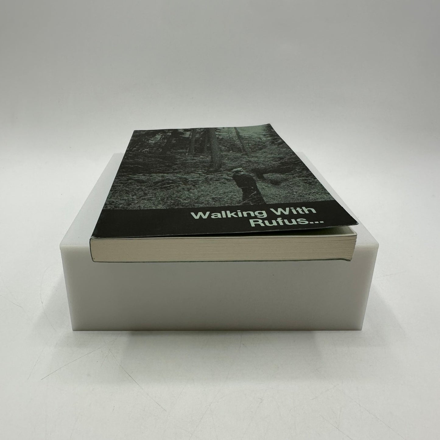 Walking With Rufus Kiser Seasonal Study Trees Shrubs Wildflowers Seminary Hill