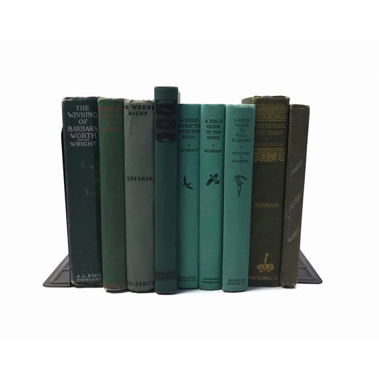 Green Book Stack Vintage Set of 9 Decorative Bookshelf Display Interior Design