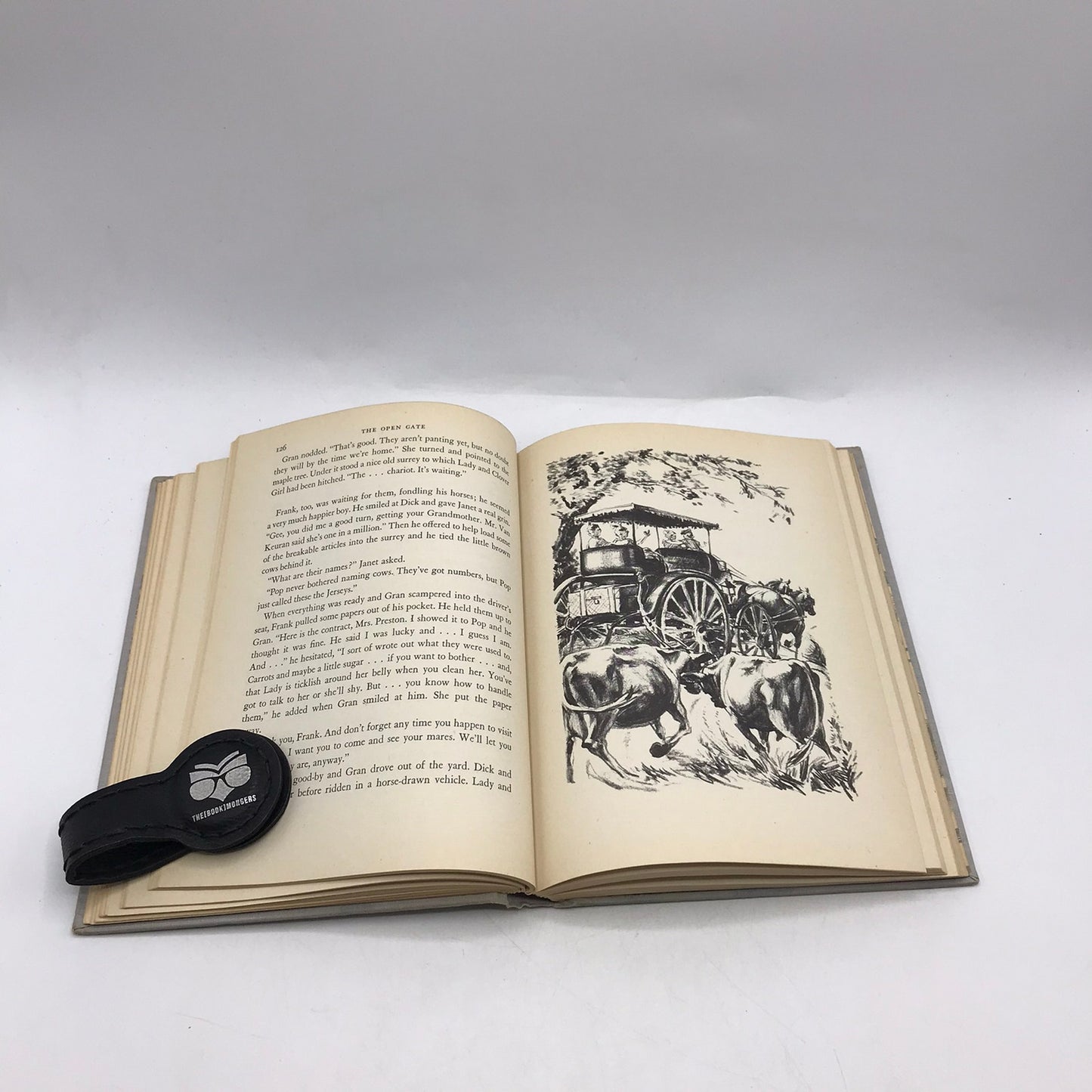 The Open Gate Kate Seredy Coming of Age Rural Life Juvenile Historical Adventure