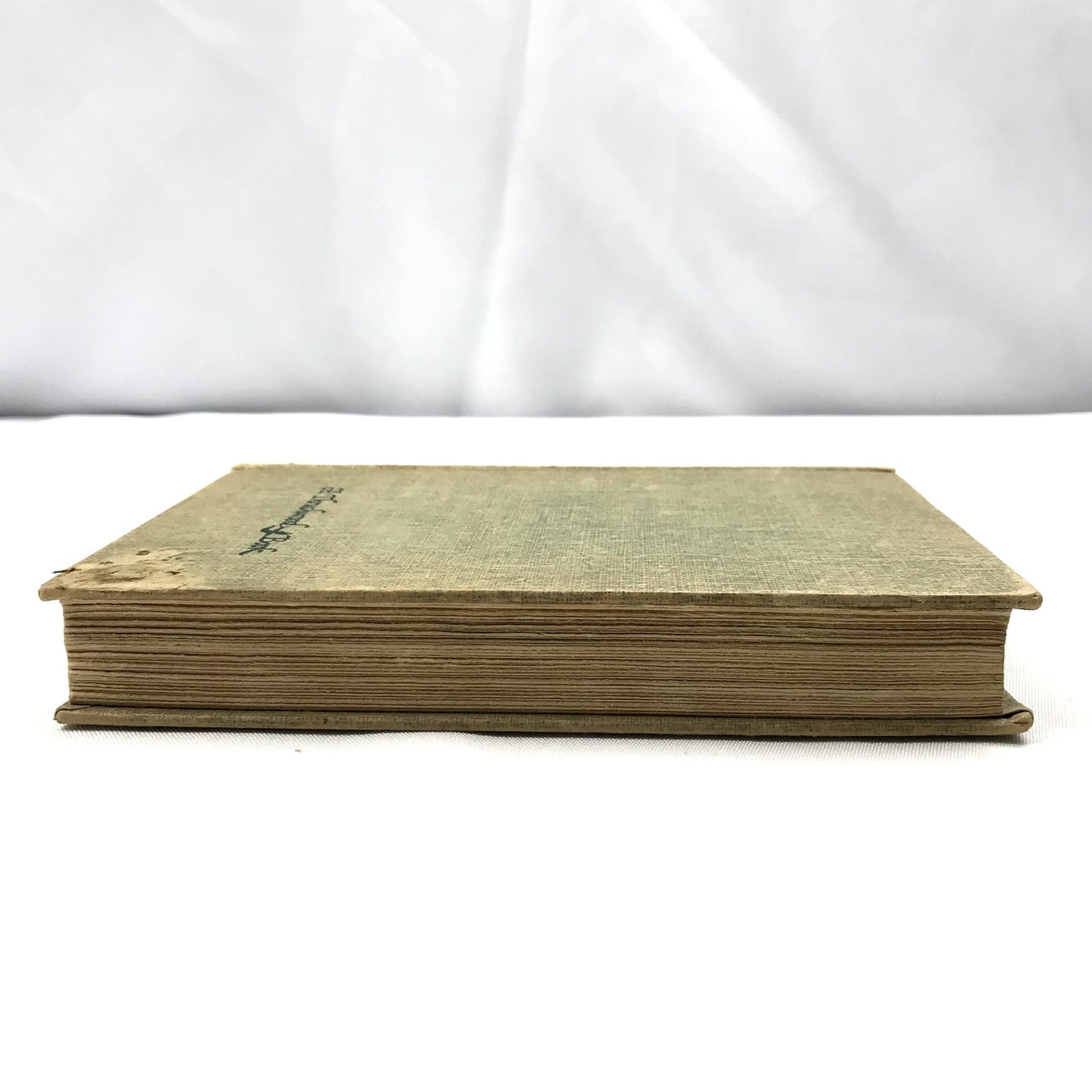 The Wind in the Willows Kenneth Grahame Childrens Classic Fantasy Animals 1913