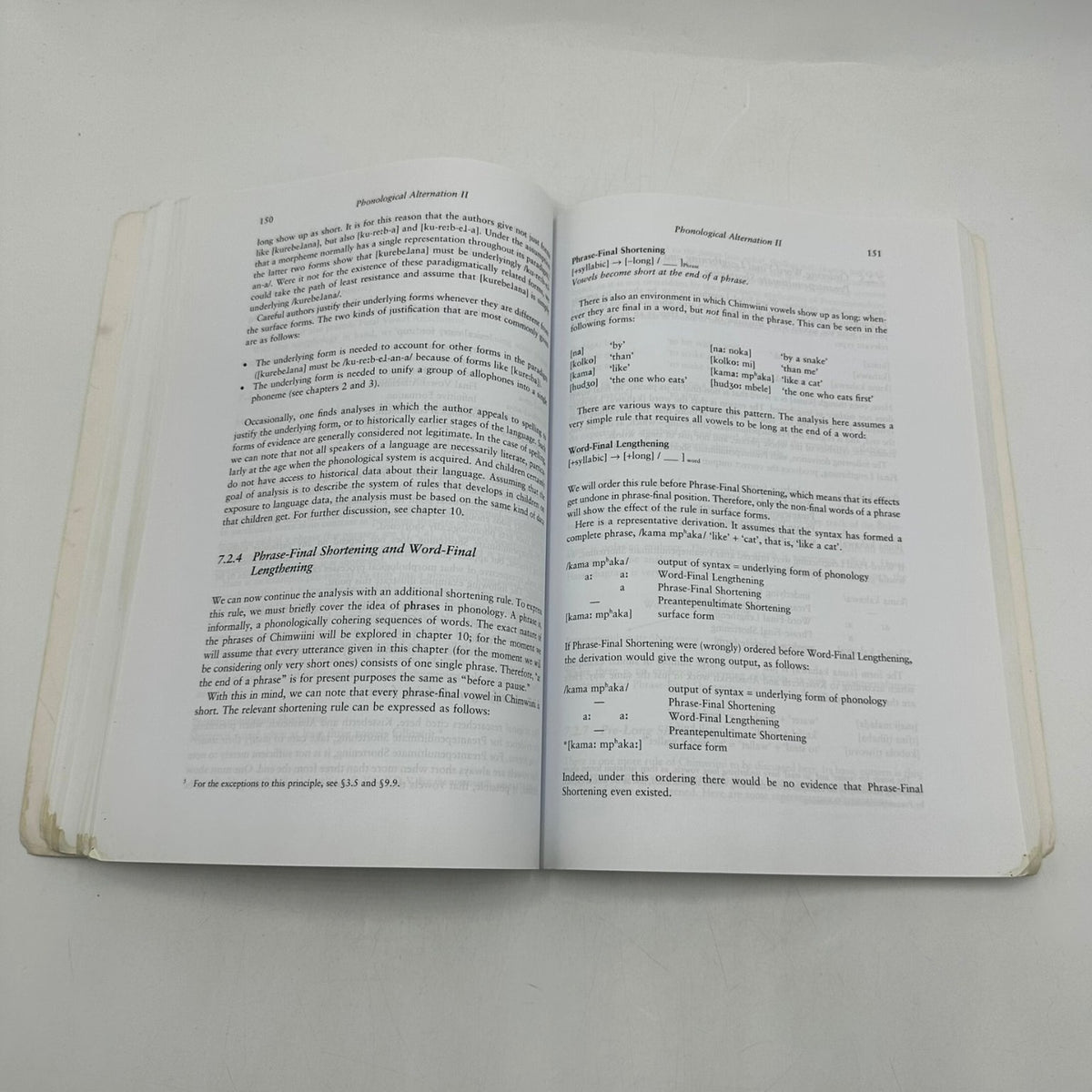 Introductory Phonology Bruce Hayes 2009 Linguistics Textbook Wiley-Blackwell