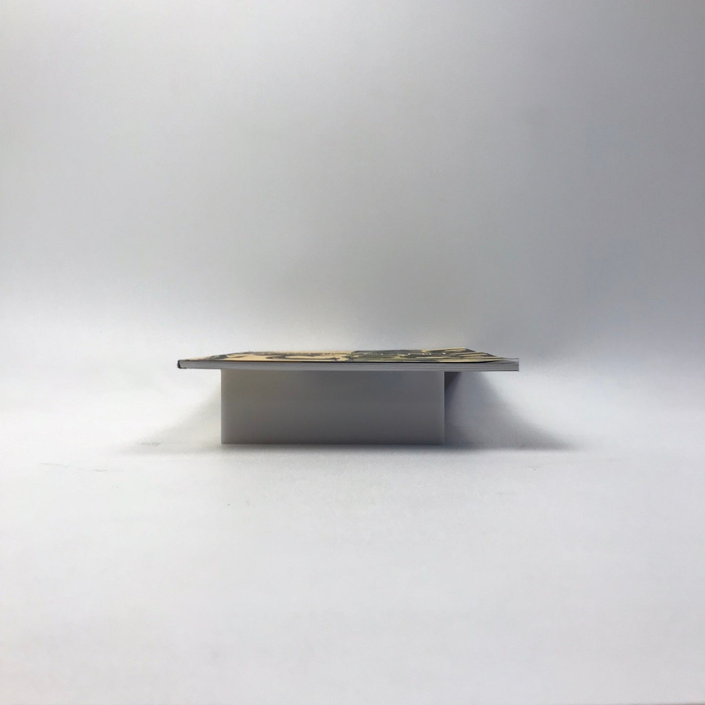 Carolee Schneemann Within and Beyond the Premises SIGNED Art Exhibition Catalog