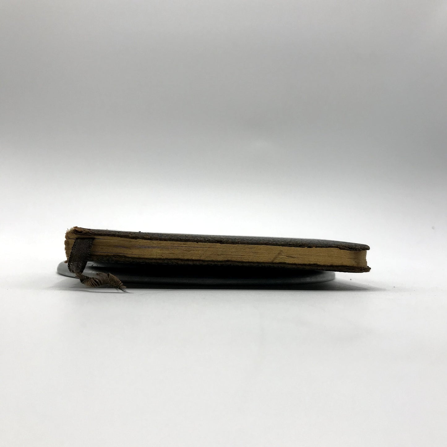 Poems by Mary Baker Eddy Raise The Dead, Heal the Sick Christian Hardcover 1910