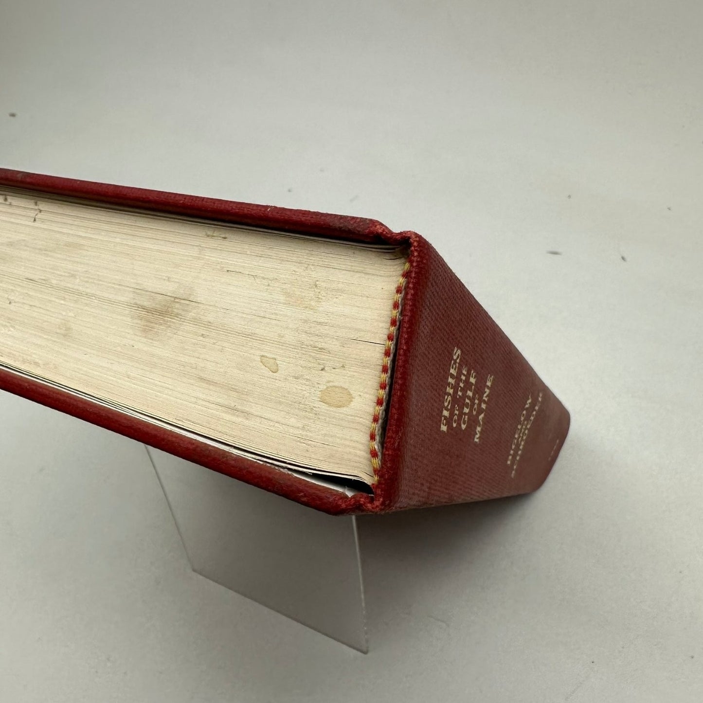 Fishes of the Gulf of Maine Bigelow Schroeder 1953 First Revision Ichthyology
