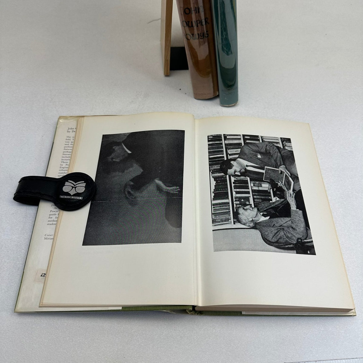 John Cowper Powys Derek Langridge 1966 Literary Criticism Biography UK Macdonald
