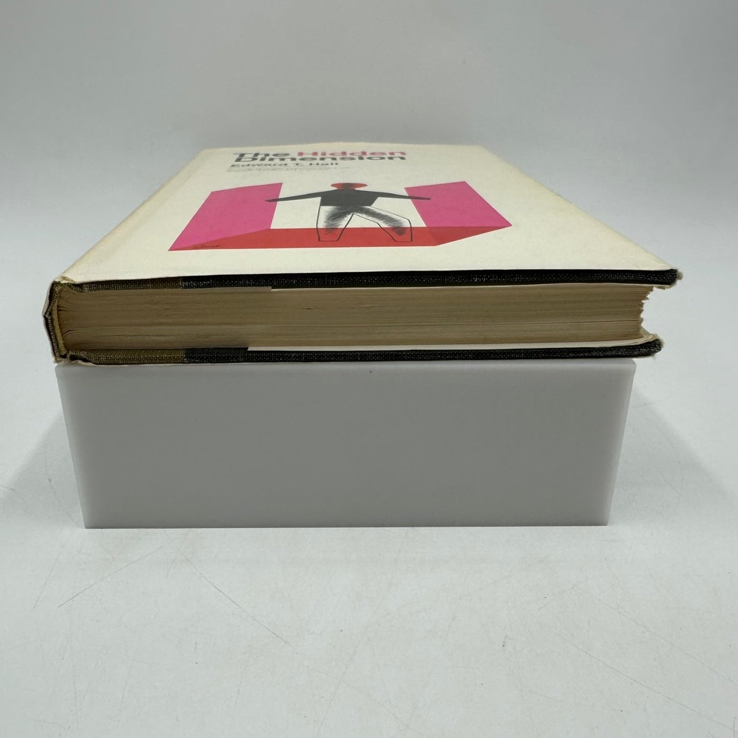 The Hidden Dimension Edward T. Hall 1966 First Edition Anthropology Doubleday