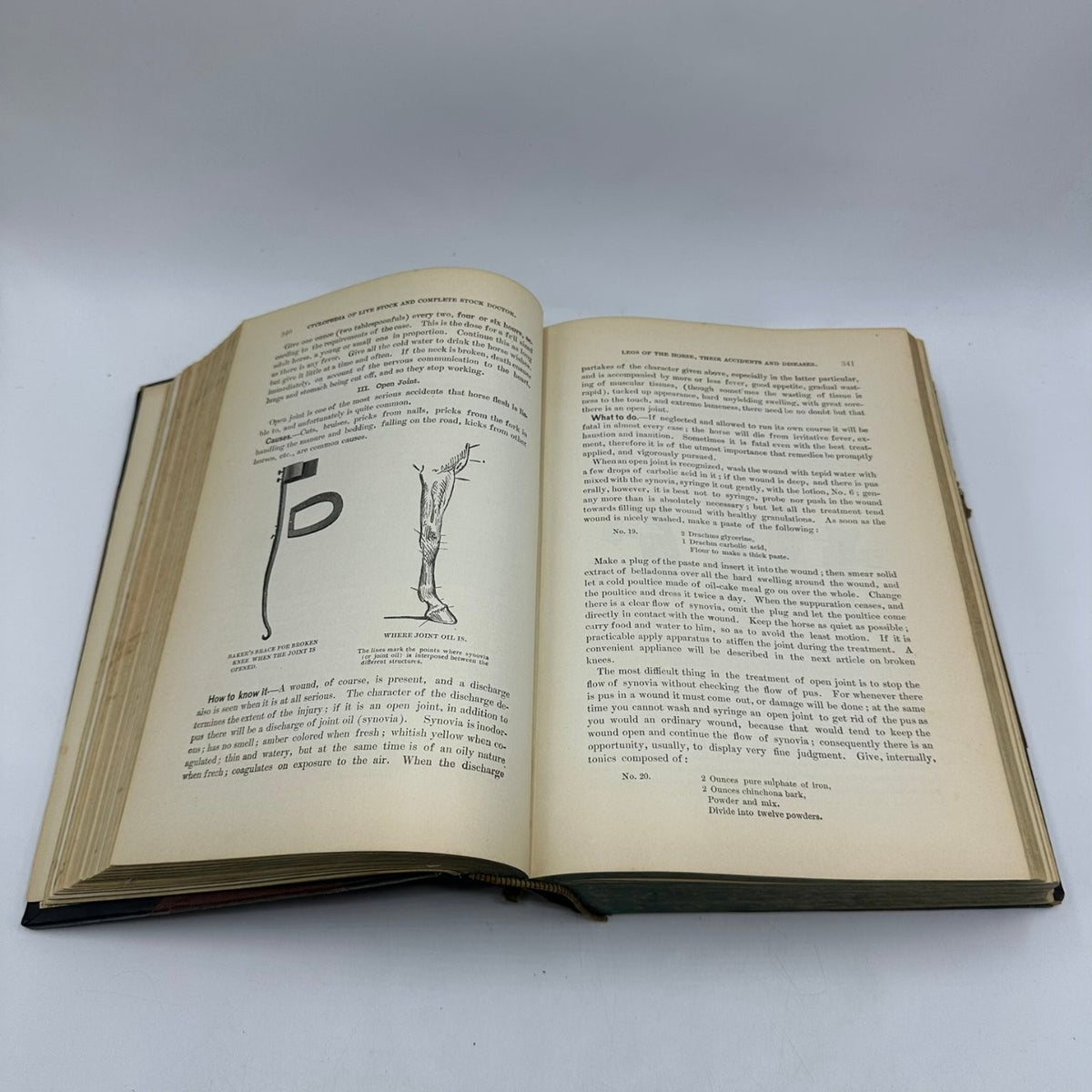 Live Stock A Cyclopedia A.H. Baker 1913 Special Edition 1000 Illustrations