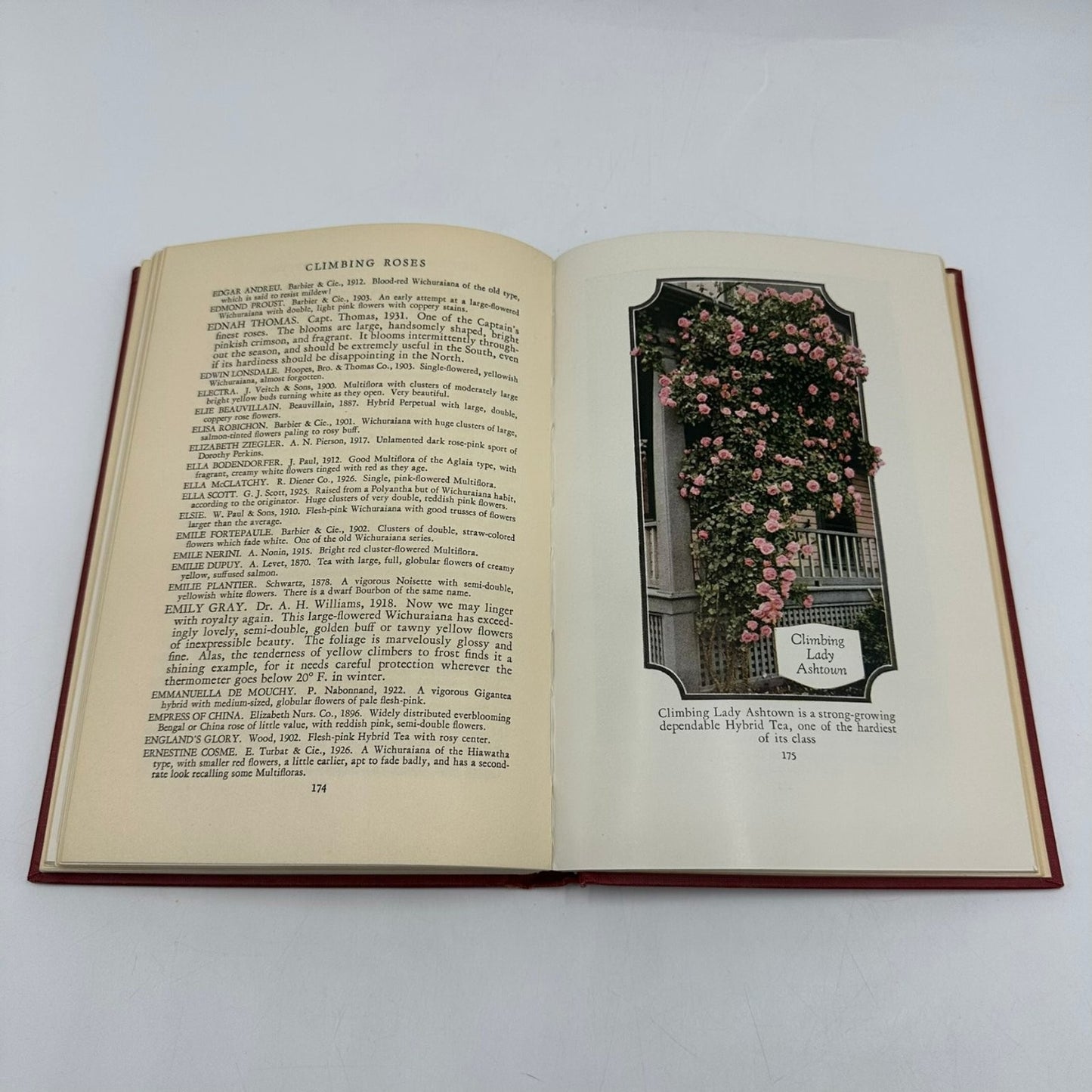 Climbing Roses G.A. Stevens 1933 First Edition Illustrated Macmillan Gardening