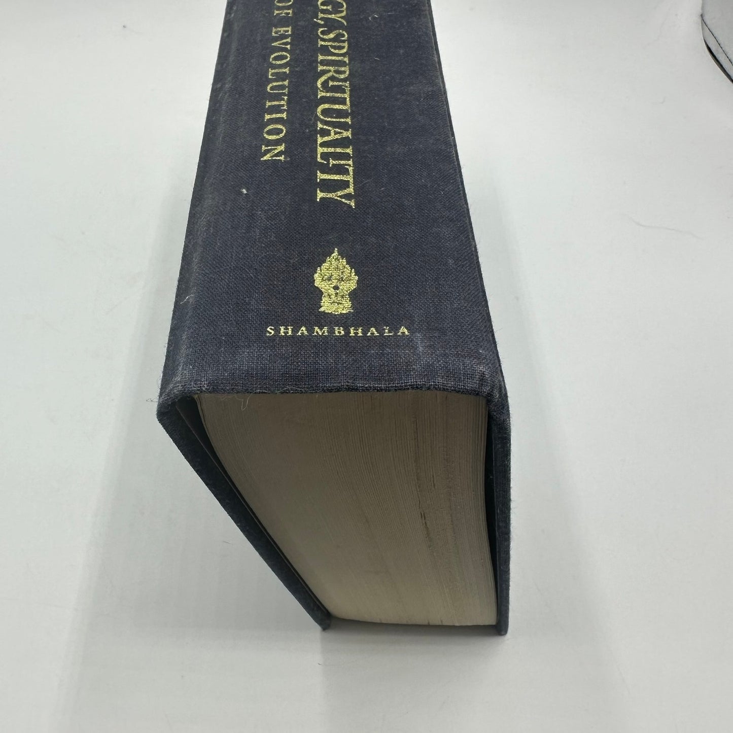 Sex Ecology Spirituality Spirit Evolution Ken Wilber First Edition Philosophical