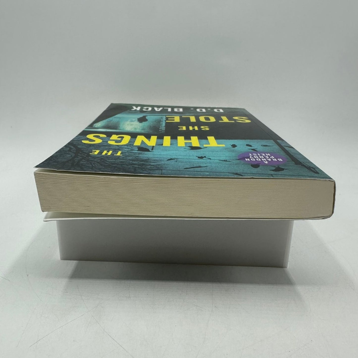 The Things She Stole D.D. Black A Brandon Penny Heist Crime Thriller Paperback