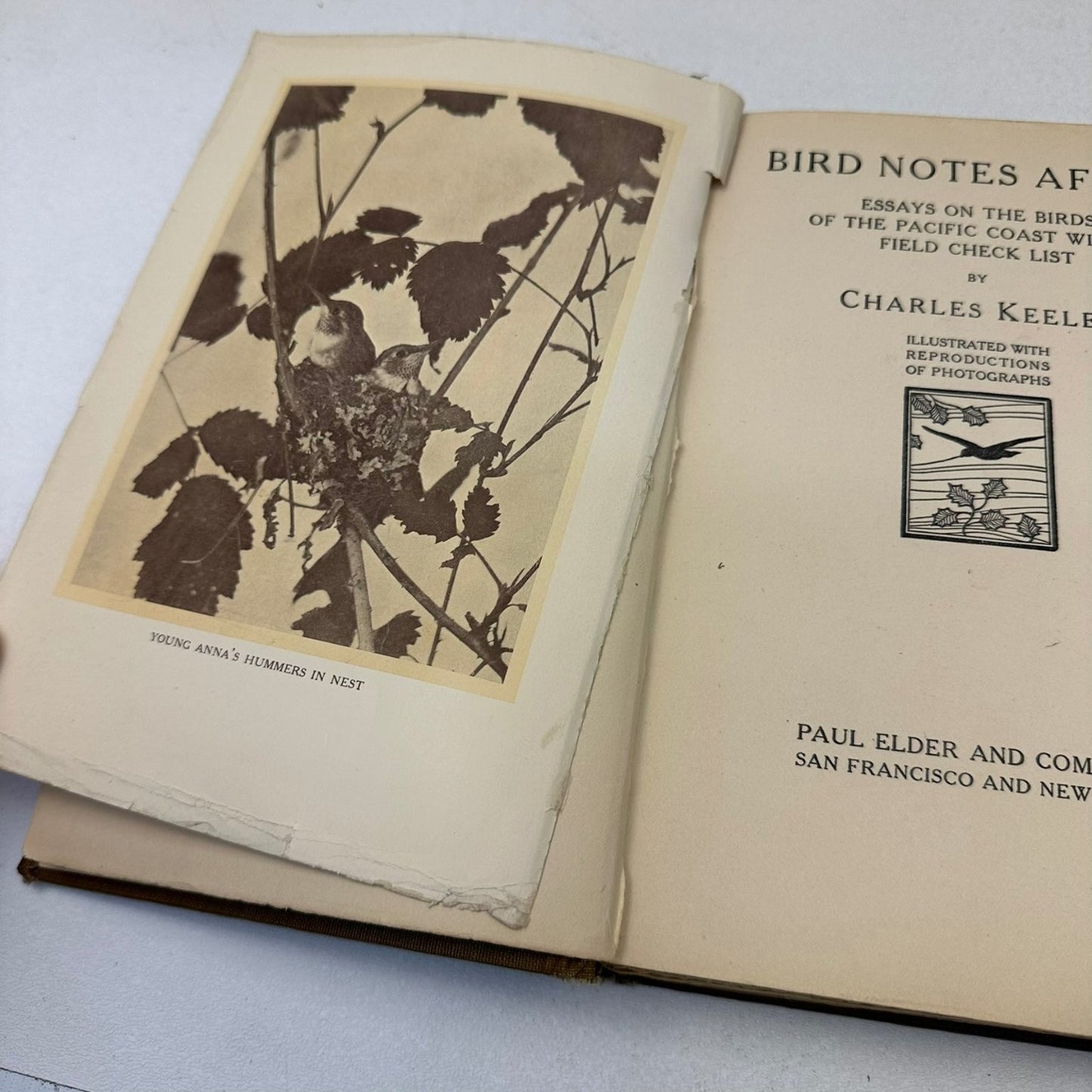 Bird Notes Afield Charles Keeler 1907 2nd Ed Revised Illustrated Ornithology