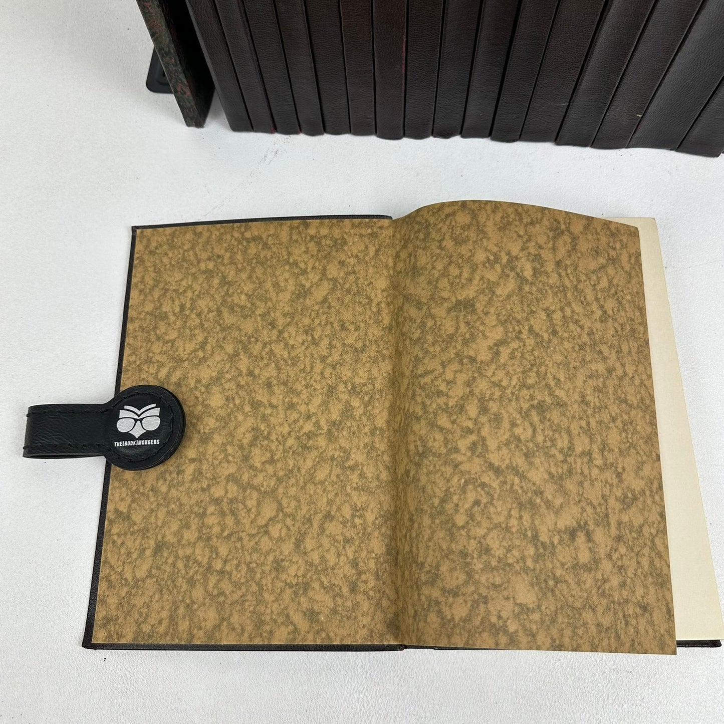 Delphian Text 19 Volumes plus Topical Outlines Leather Bound History Philosophy