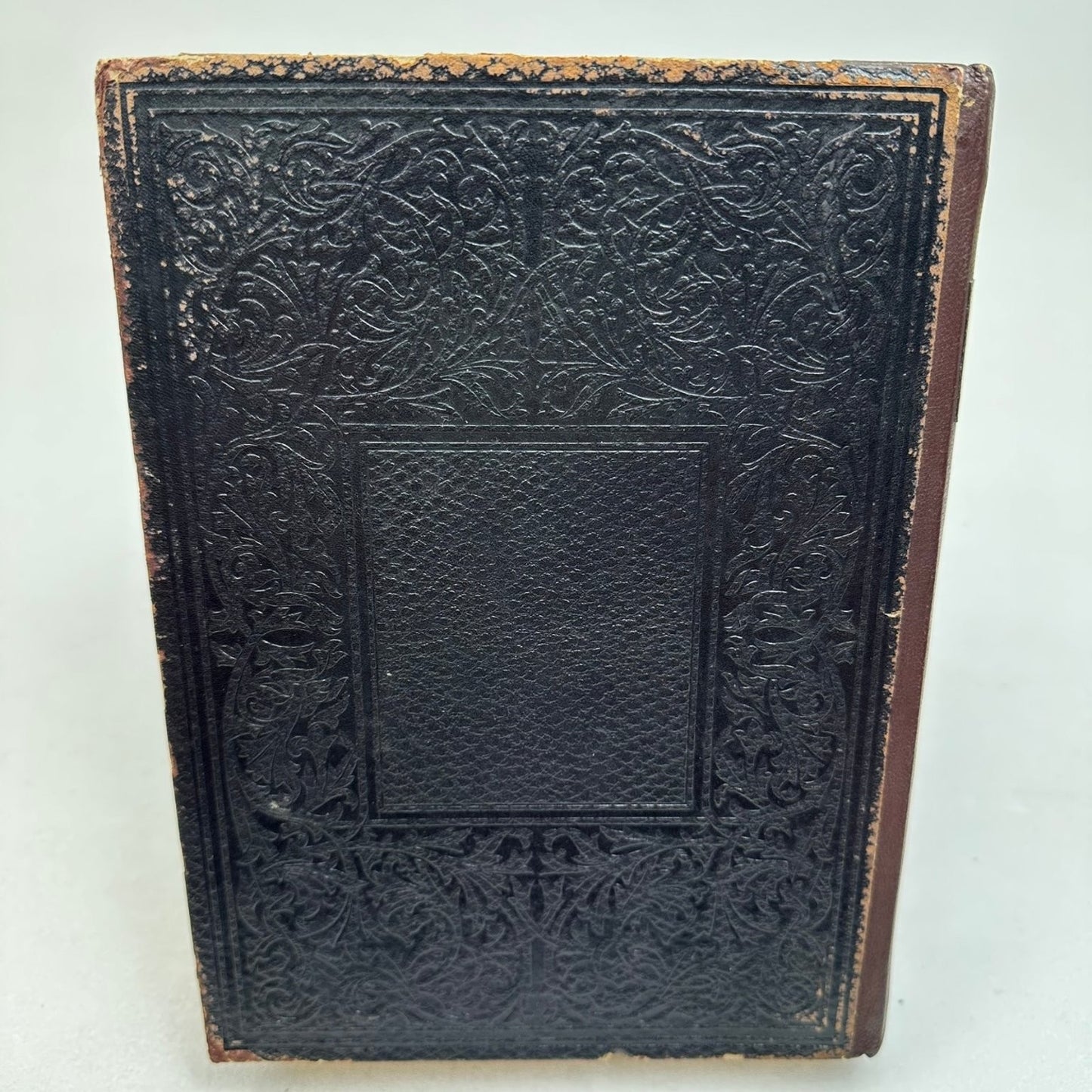 The Beautiful Life of Frances E. Willard Anna A. Gordon 1898 Biography W.T.P.A.