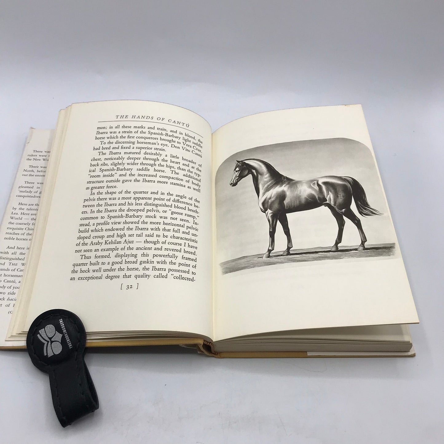 The Hand of Cantu Signed by Tom Lea Hardcover Illustrated Book 1st Edition 1964