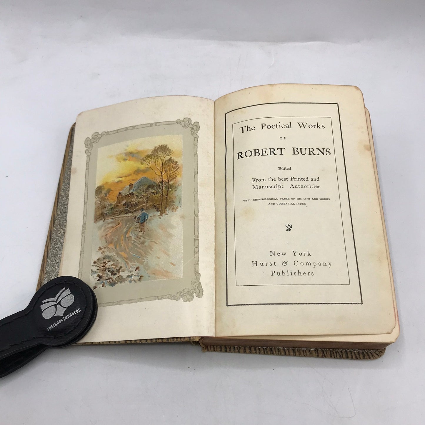 The Poetical Works of Robert Burns Nature Rural Life poems Poetry Collection