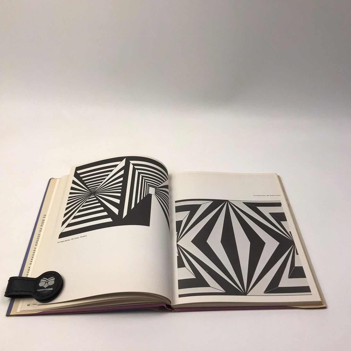 Optical Art Theory and Practice Rene Parola Influental Modern Contemporary 1969