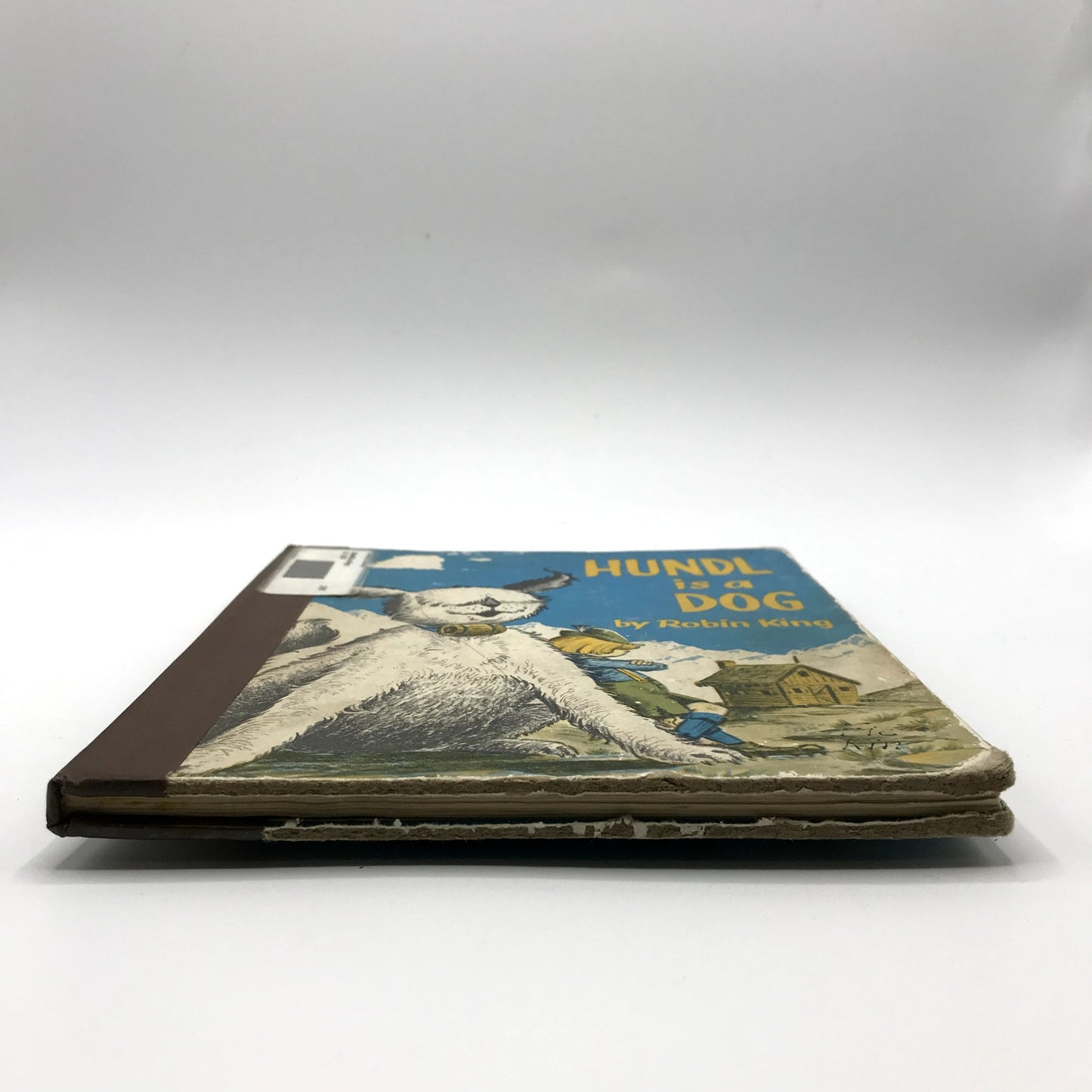 Hundl is a Dog Children's Fiction Hardcover Book by Robin King 1st Edition 1956