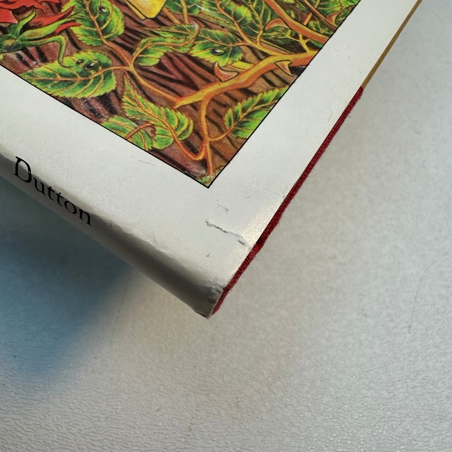 One Unicorn Gale Cooper 1981 First Edition Illustrated Fantasy Dutton