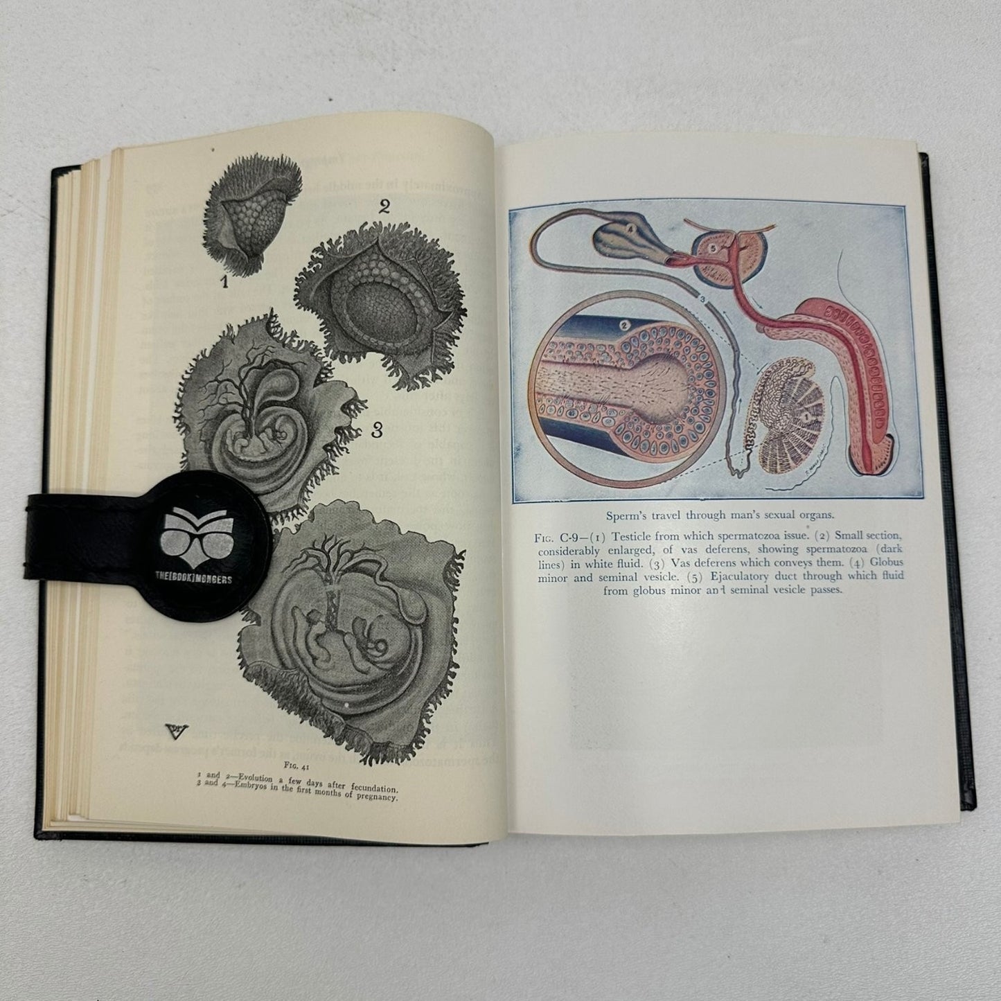 Illustrated Encyclopedia of Sex Willy Vander Fisher 1950 Cadillac Hardcover