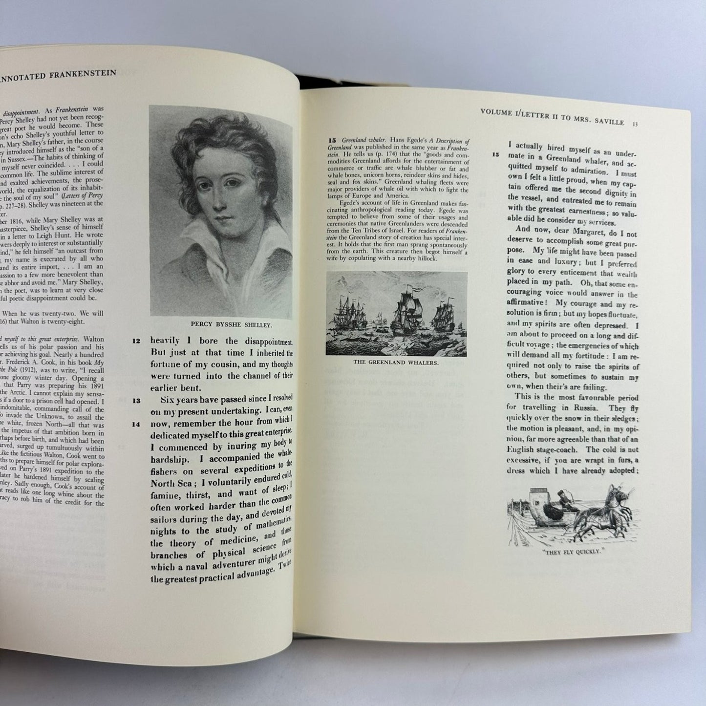 Annotated Frankenstein Mary Shelley 1977 Leonard Wolf Illustrated Clarkson