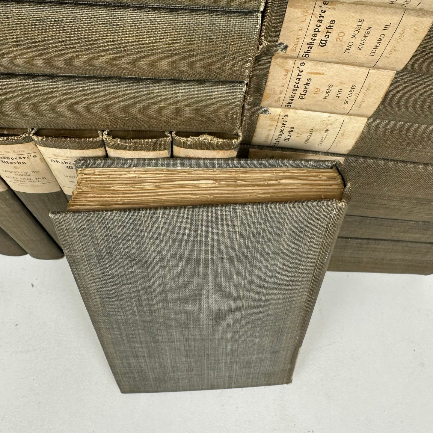 Shakespeares Works Edition de Luxe 24 Volume Set Historical Poetry Drama 1901