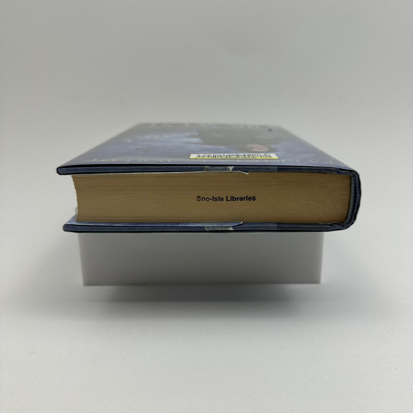 The Far West Patricia C Wrede Frontier Magic Historical Young Adult Fantasy