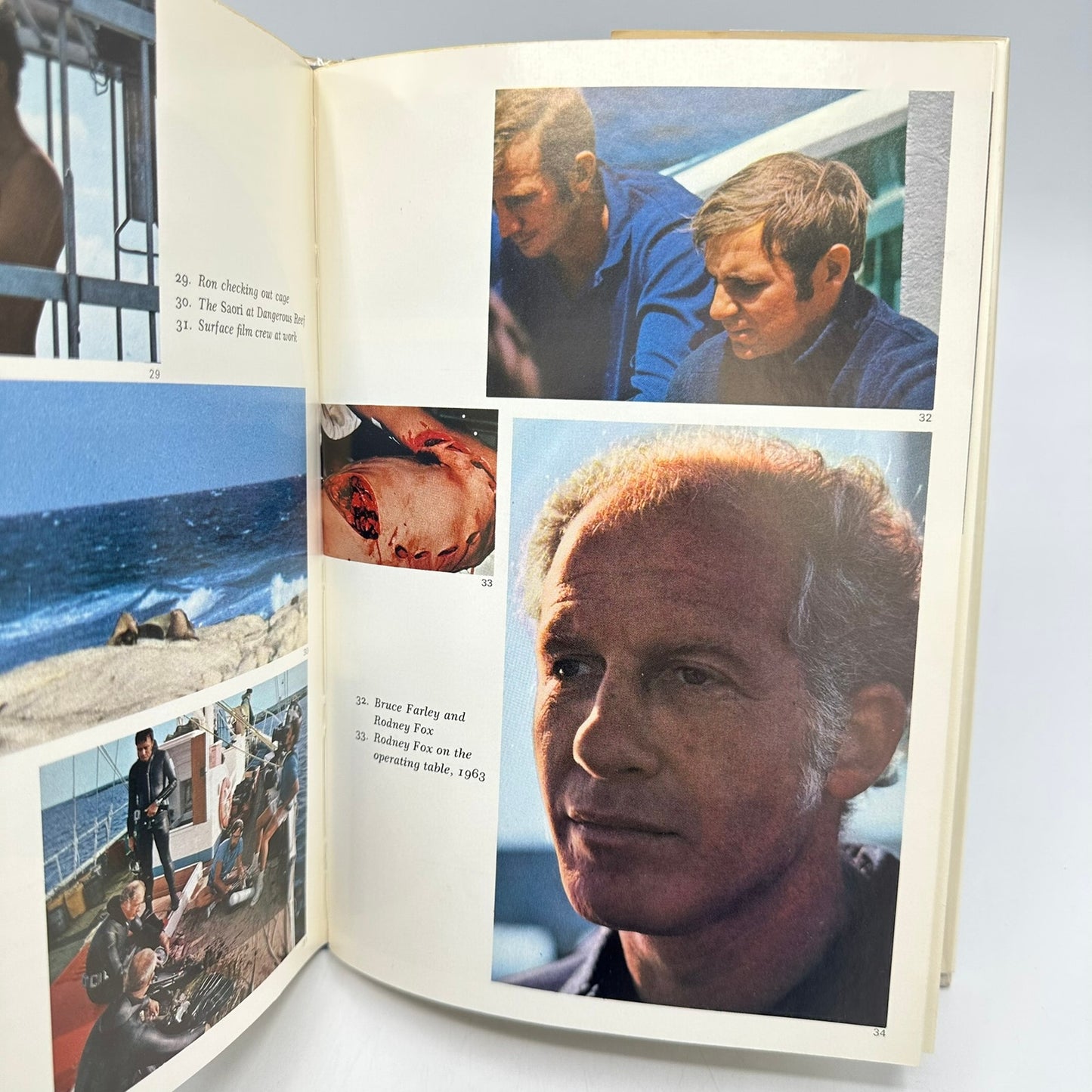 Blue Meridian Search for the Great White Shark Peter Matthiessen First Edition